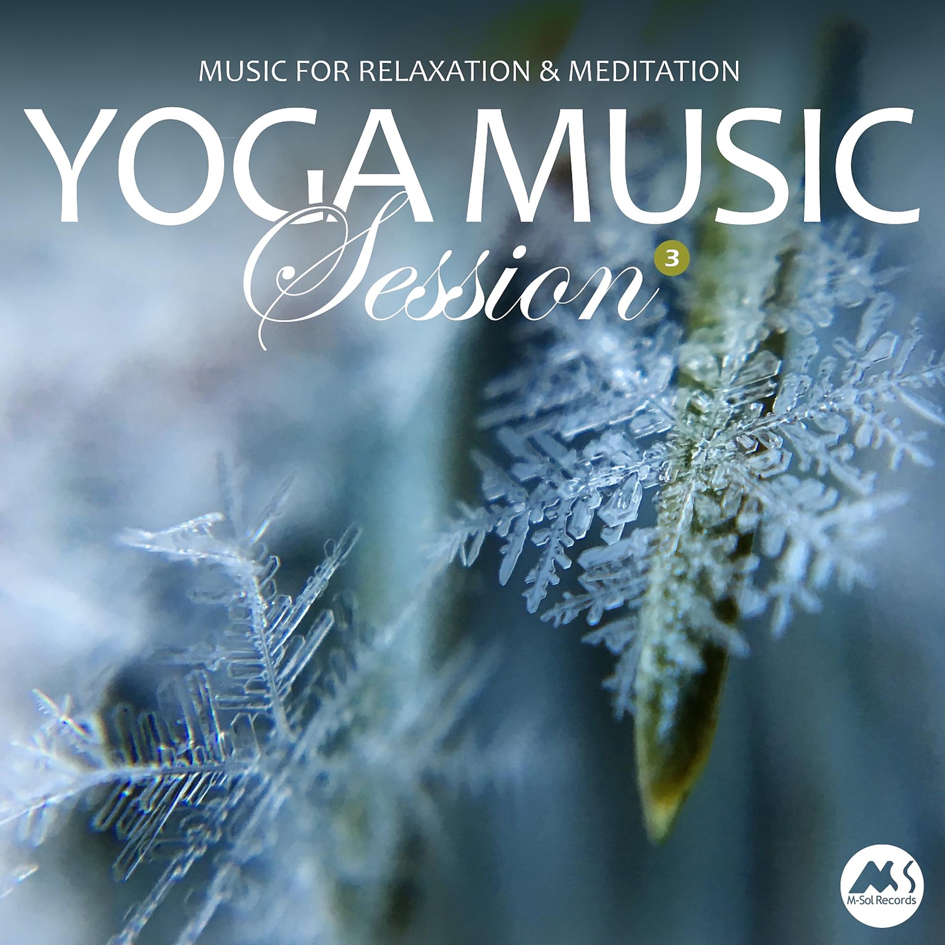 Постер альбома Yoga Music Session, Vol. 3: Relaxation & Meditation