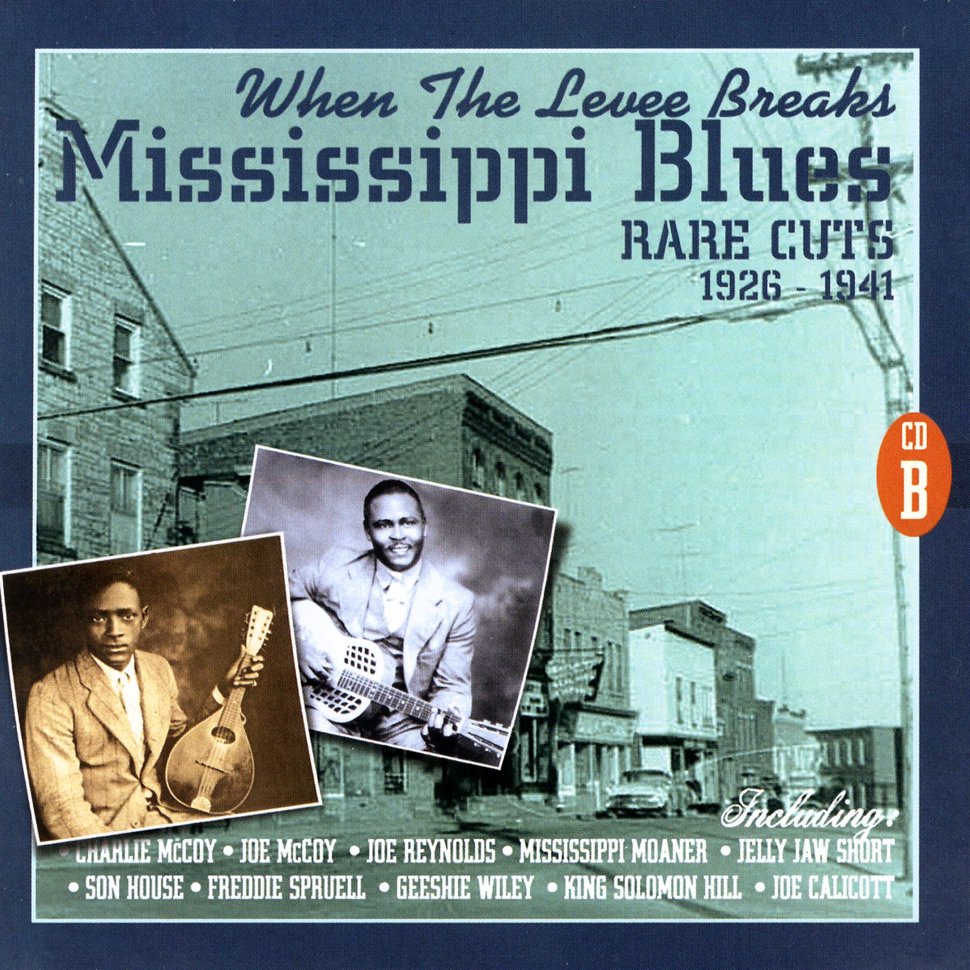 Постер альбома When The Levee Breaks: Mississippi Blues Rare Cuts 1926-1941 (CD B)