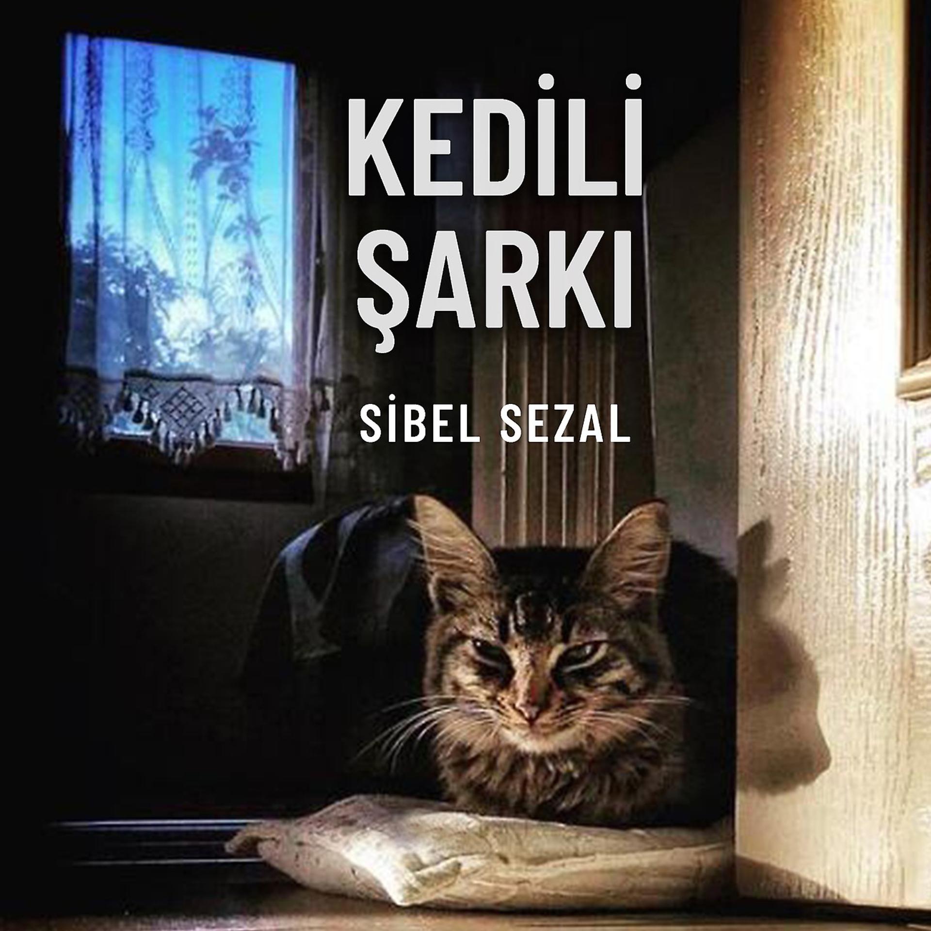 Постер альбома Kedili Şarkı