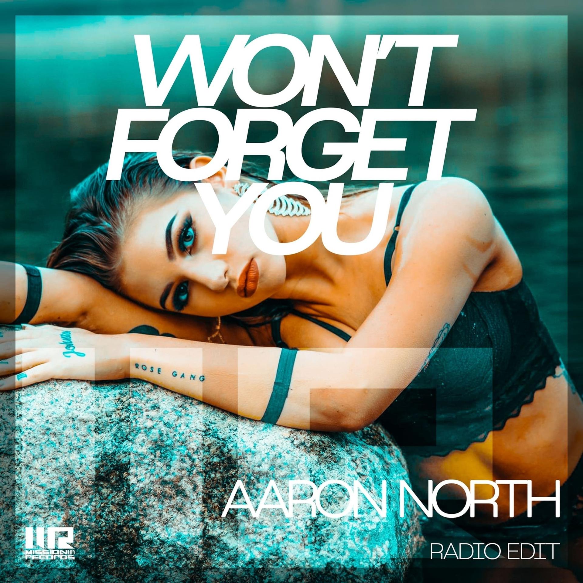Постер альбома Won't Forget You (Radio Edit)