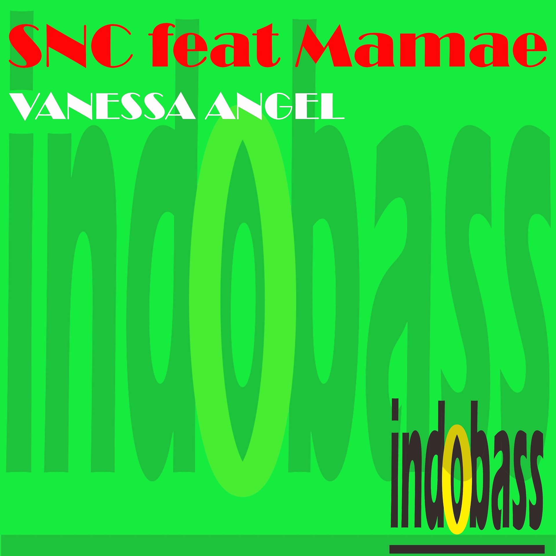Постер альбома Vanessa Angel