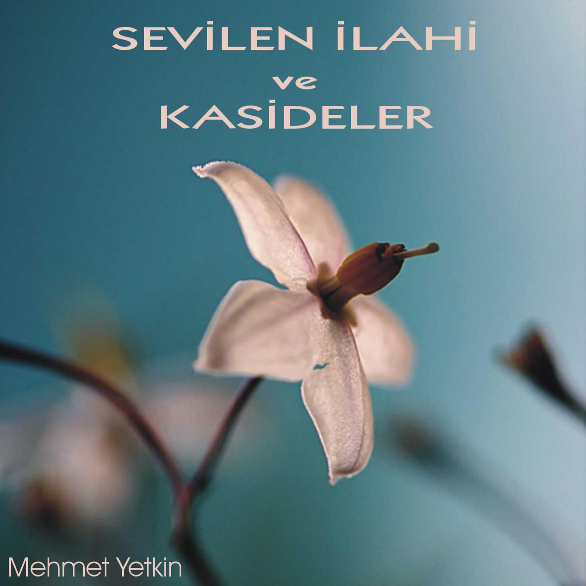 Постер альбома Sevilen İlahi ve Kasideler