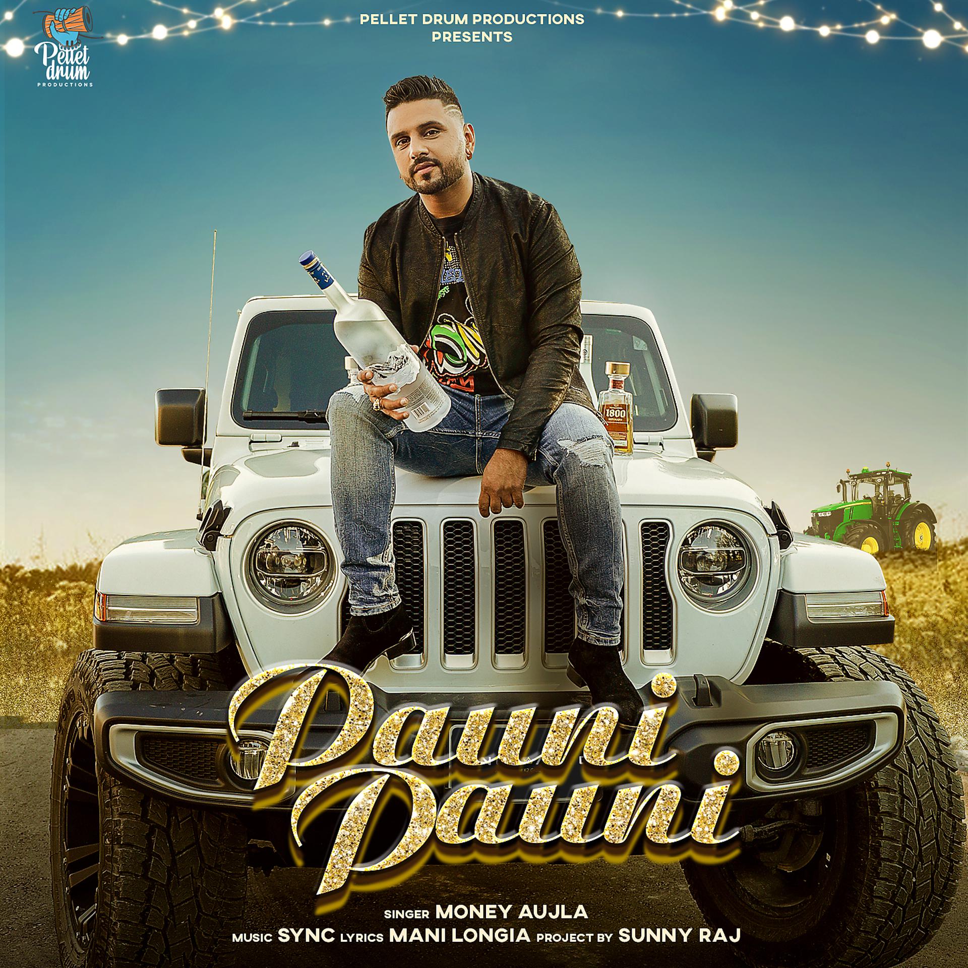 Постер альбома Pauni Pauni
