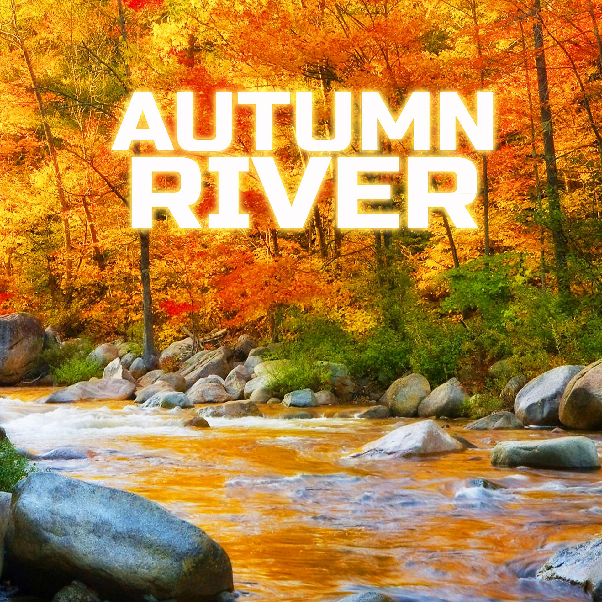 Постер альбома Autumn River (feat. Nature Sound)