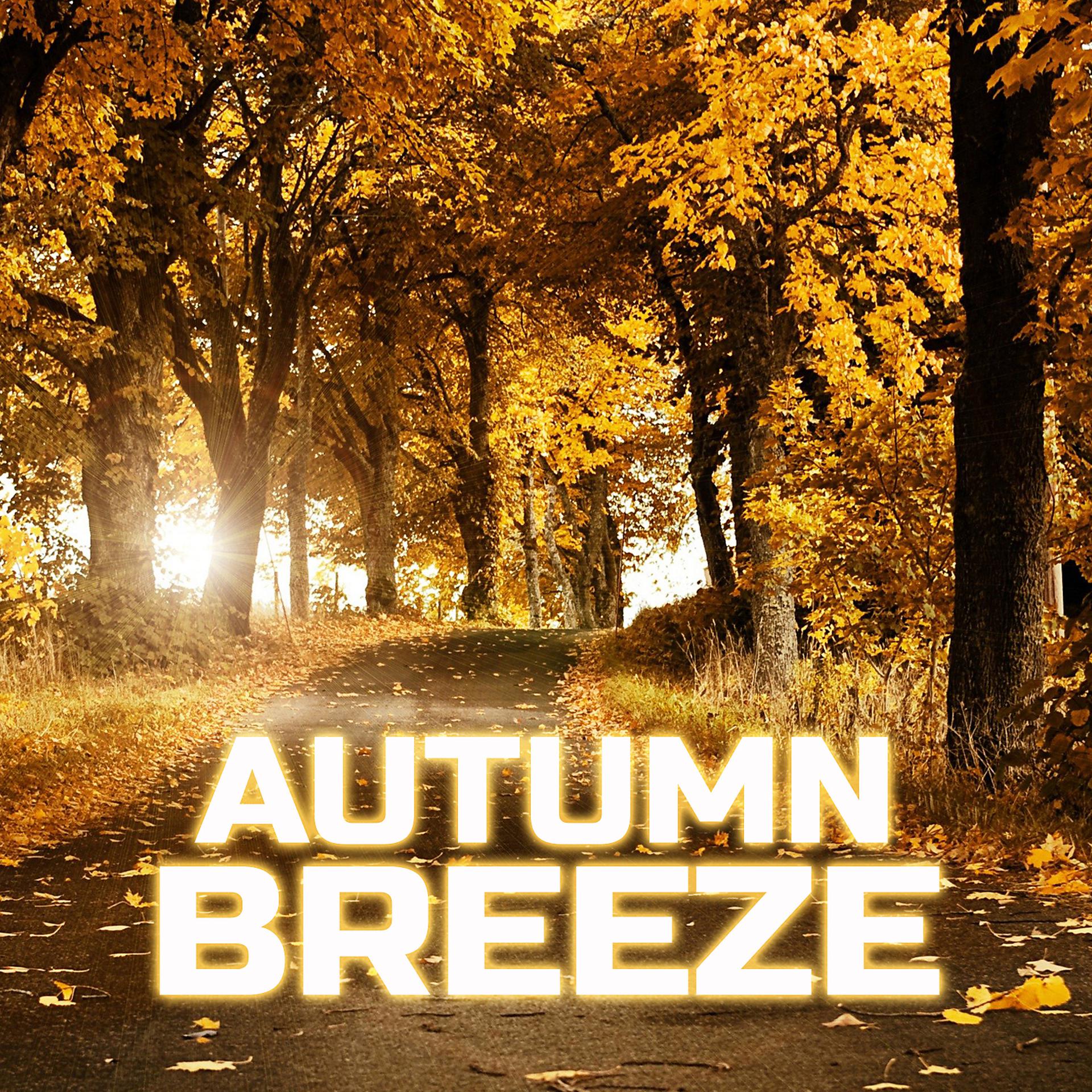 Постер альбома Autumn Breeze