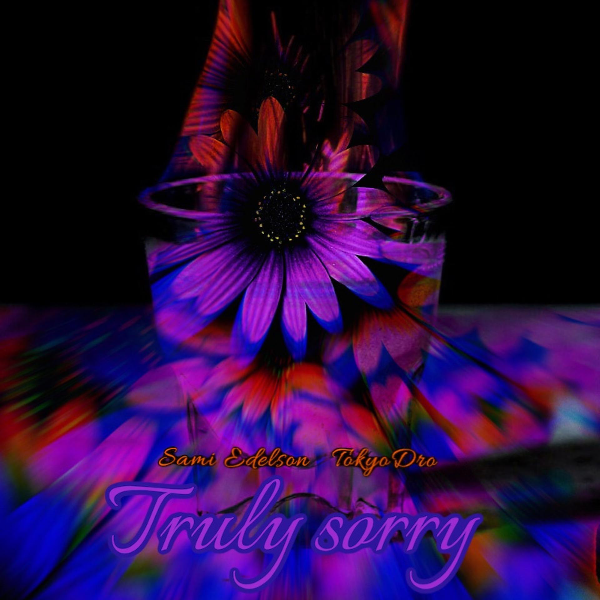 Постер альбома Truly sorry