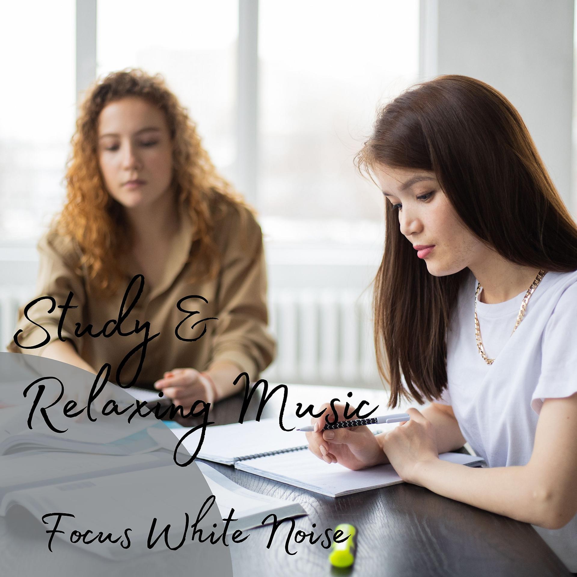 Постер альбома Focus White Noise: Study & Relaxing Music - 1 Hour