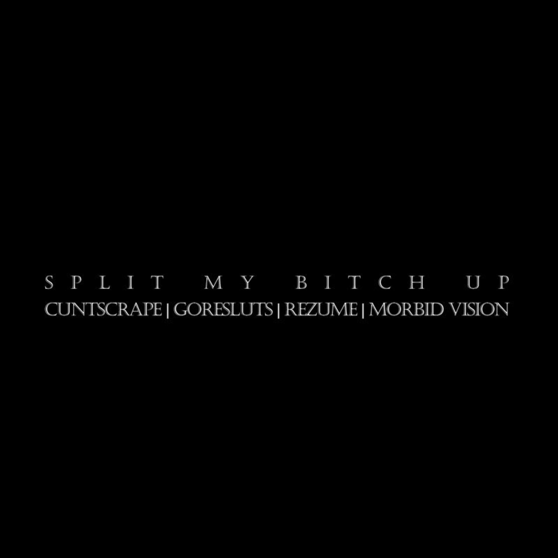 Постер альбома Split My Bitch Up