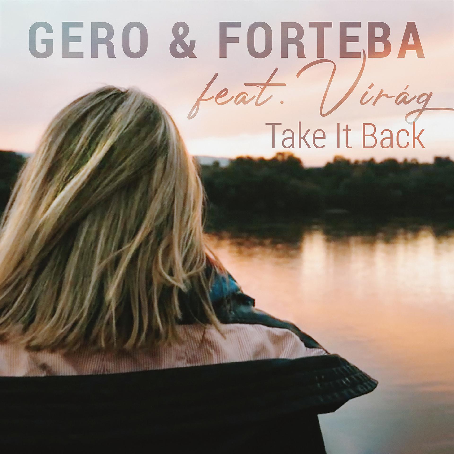 Постер альбома Take It Back (Video Remix)