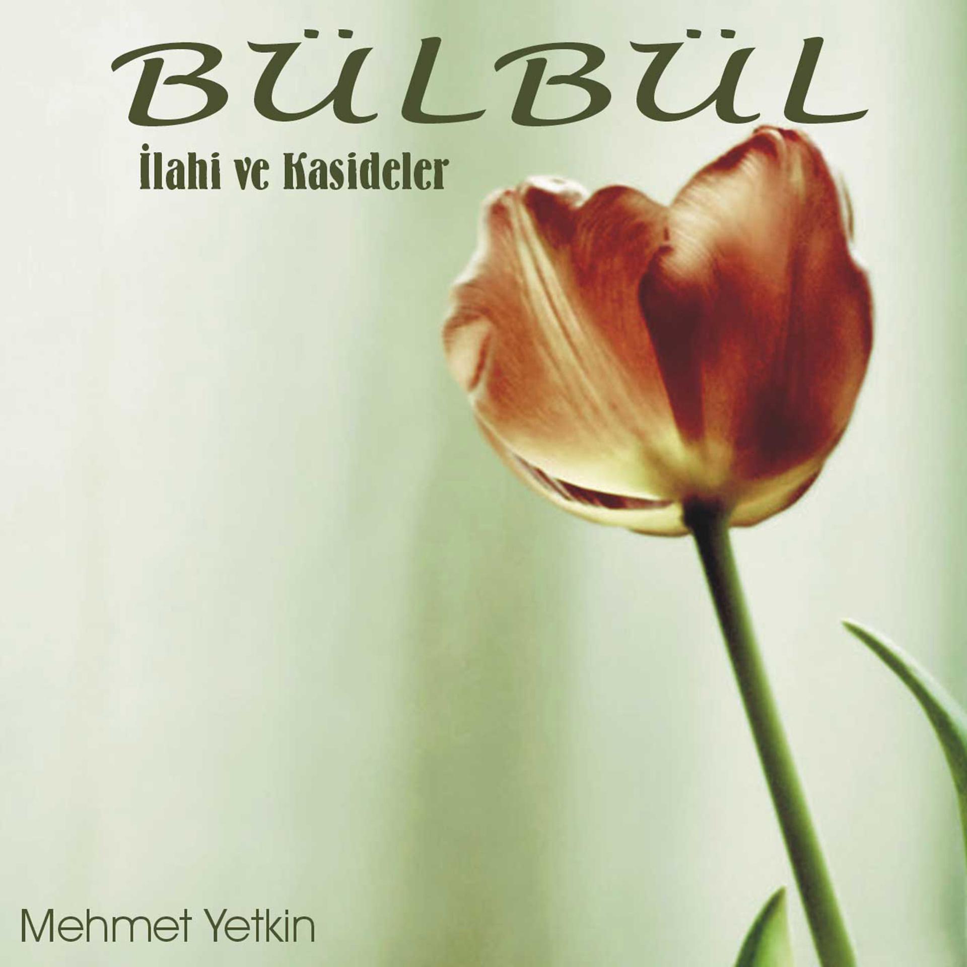 Постер альбома Bülbül / İlahi ve Kasideler