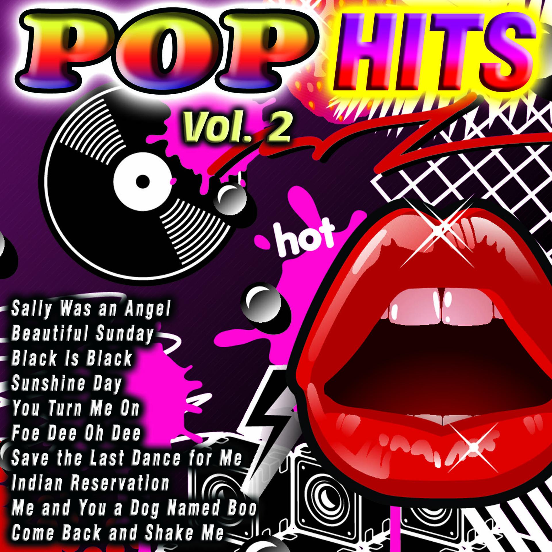 Постер альбома Pop Hits Vol. 2