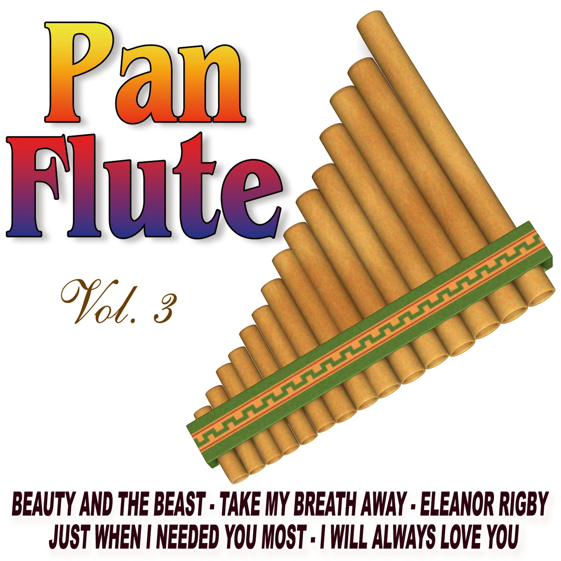 Постер альбома Pan Flute Vol.3