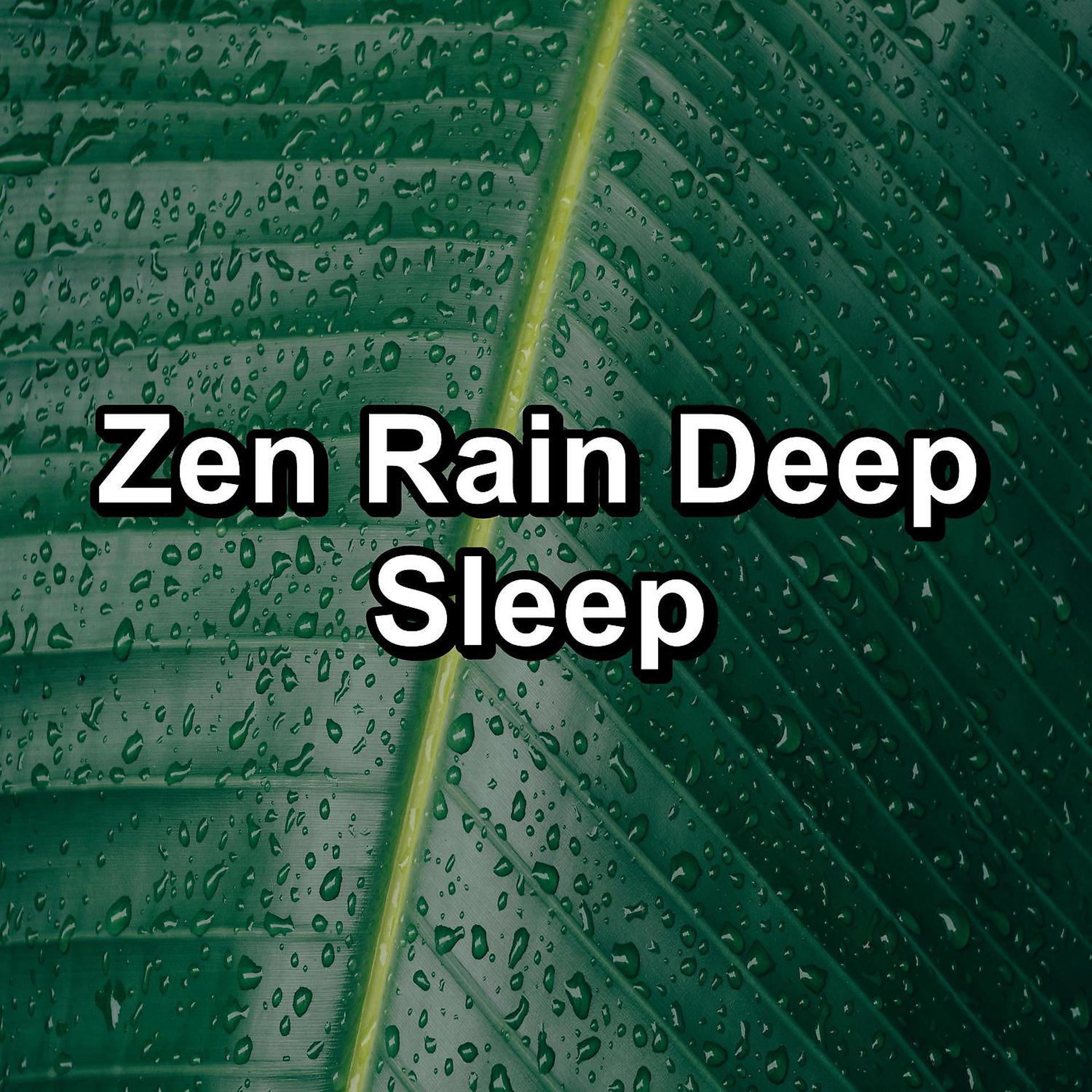Постер альбома Zen Rain Deep Sleep