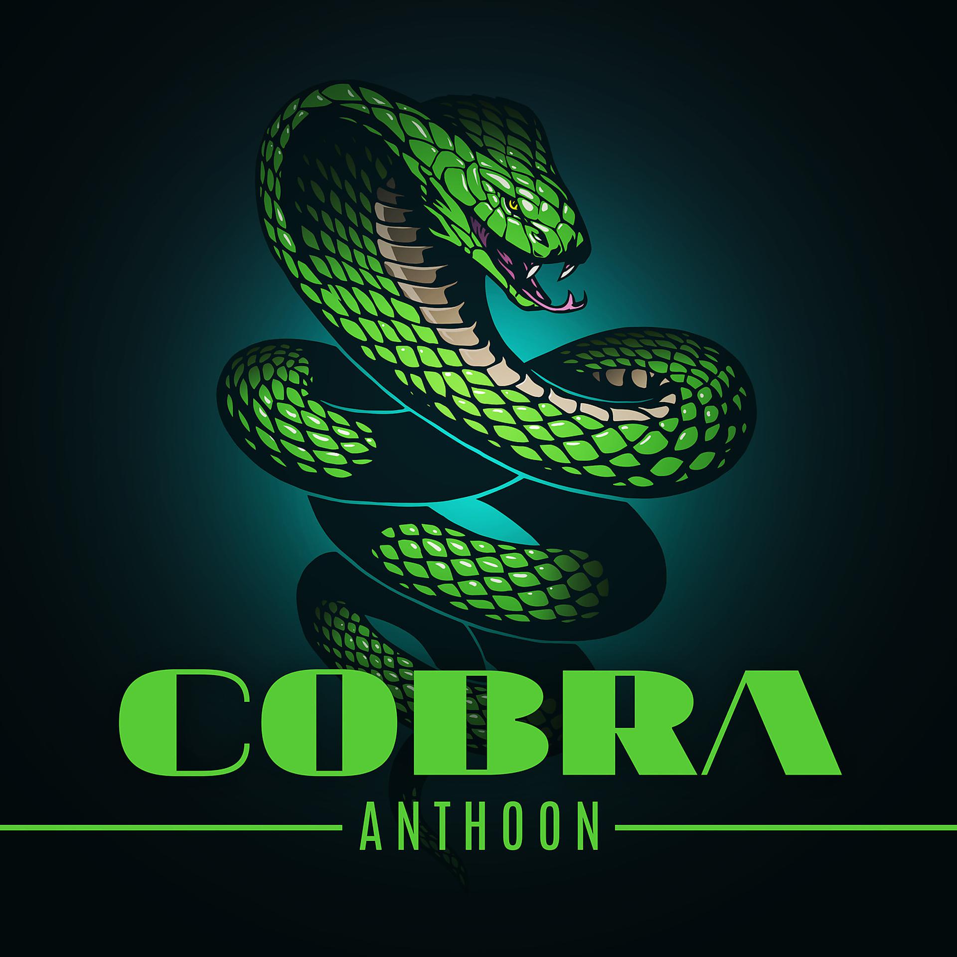 Постер альбома Cobra