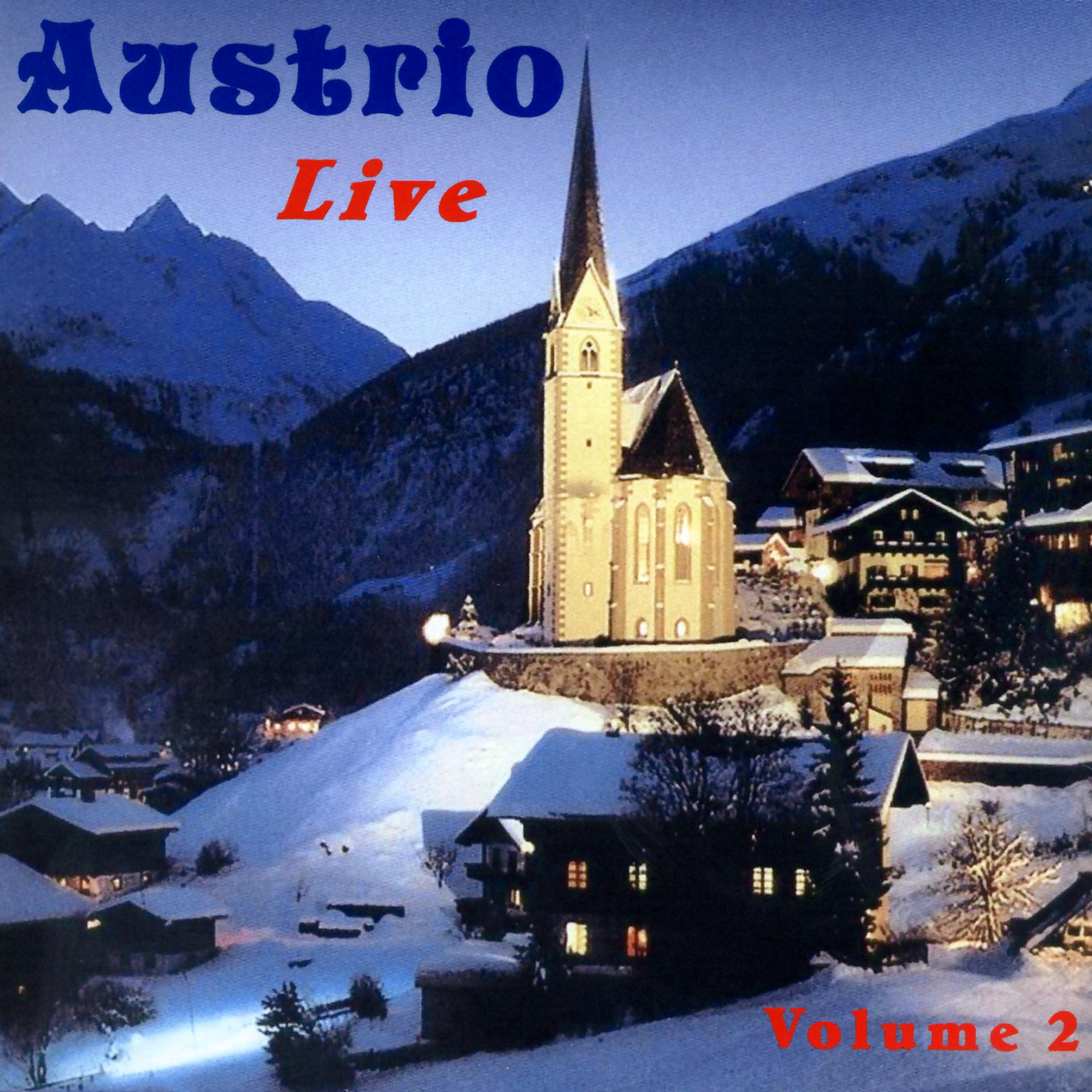 Постер альбома German Hits by Austrio Live Volume 2