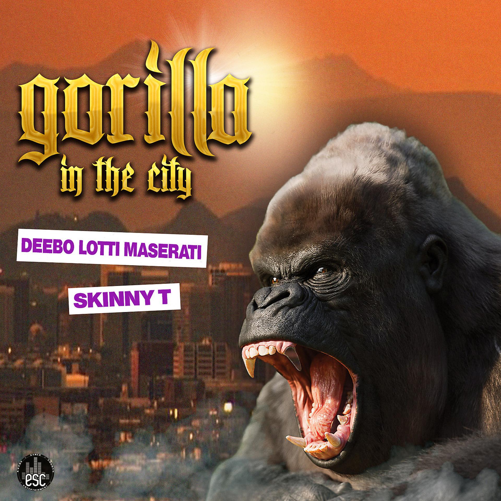 Постер альбома Gorilla in the City