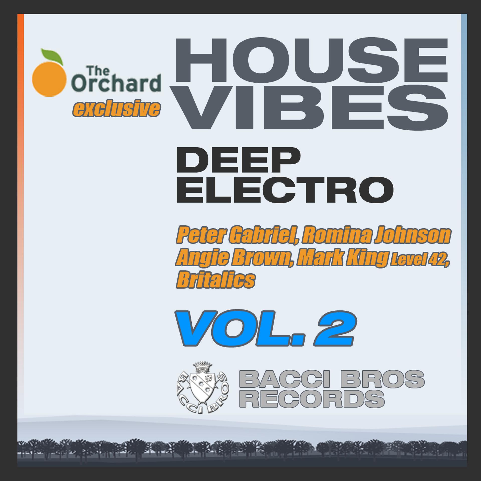 Постер альбома House Vibes - Deep Electro, Vol. 2