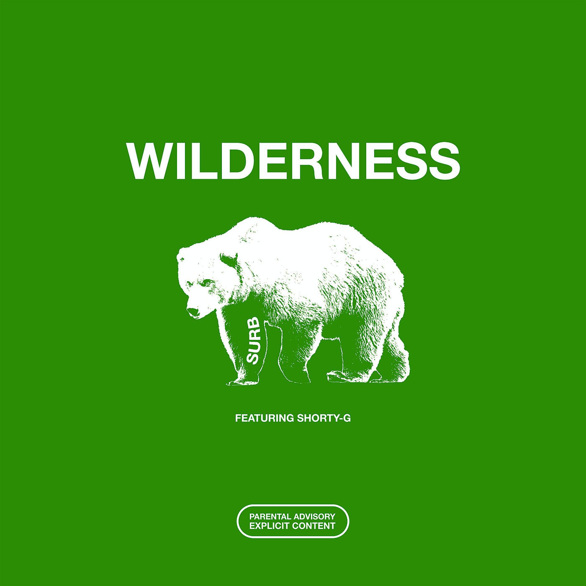 Постер альбома Wilderness