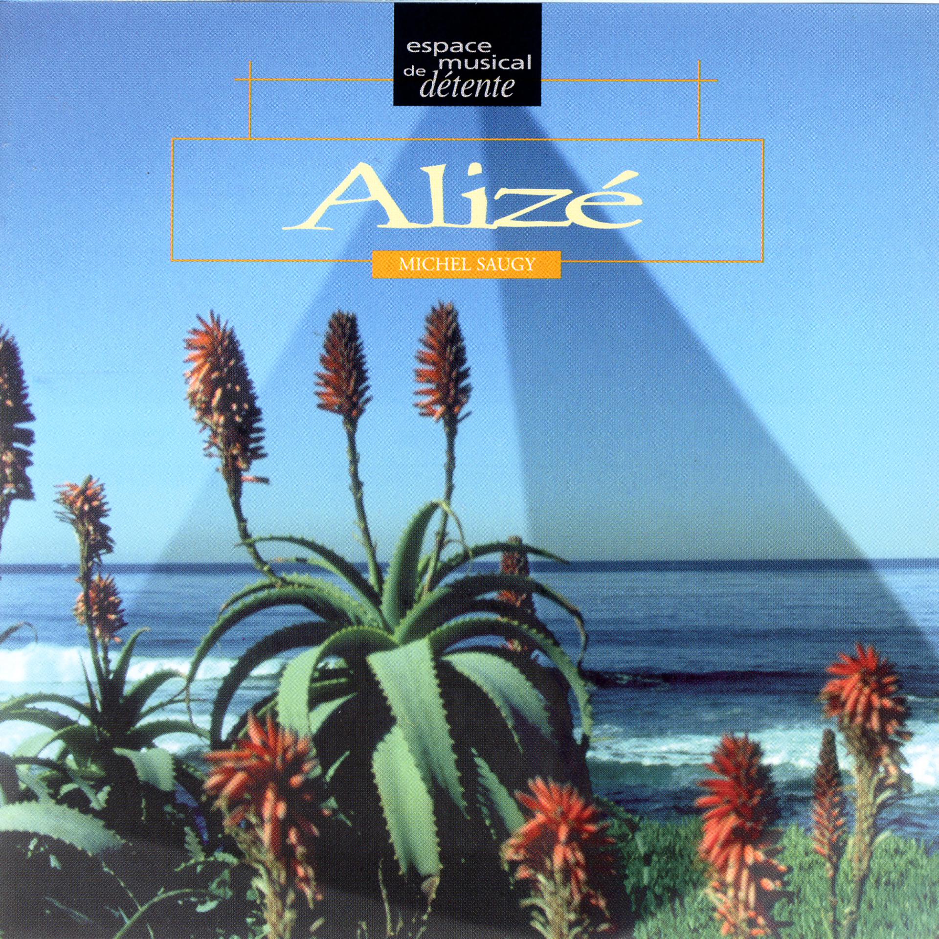 Постер альбома Alize