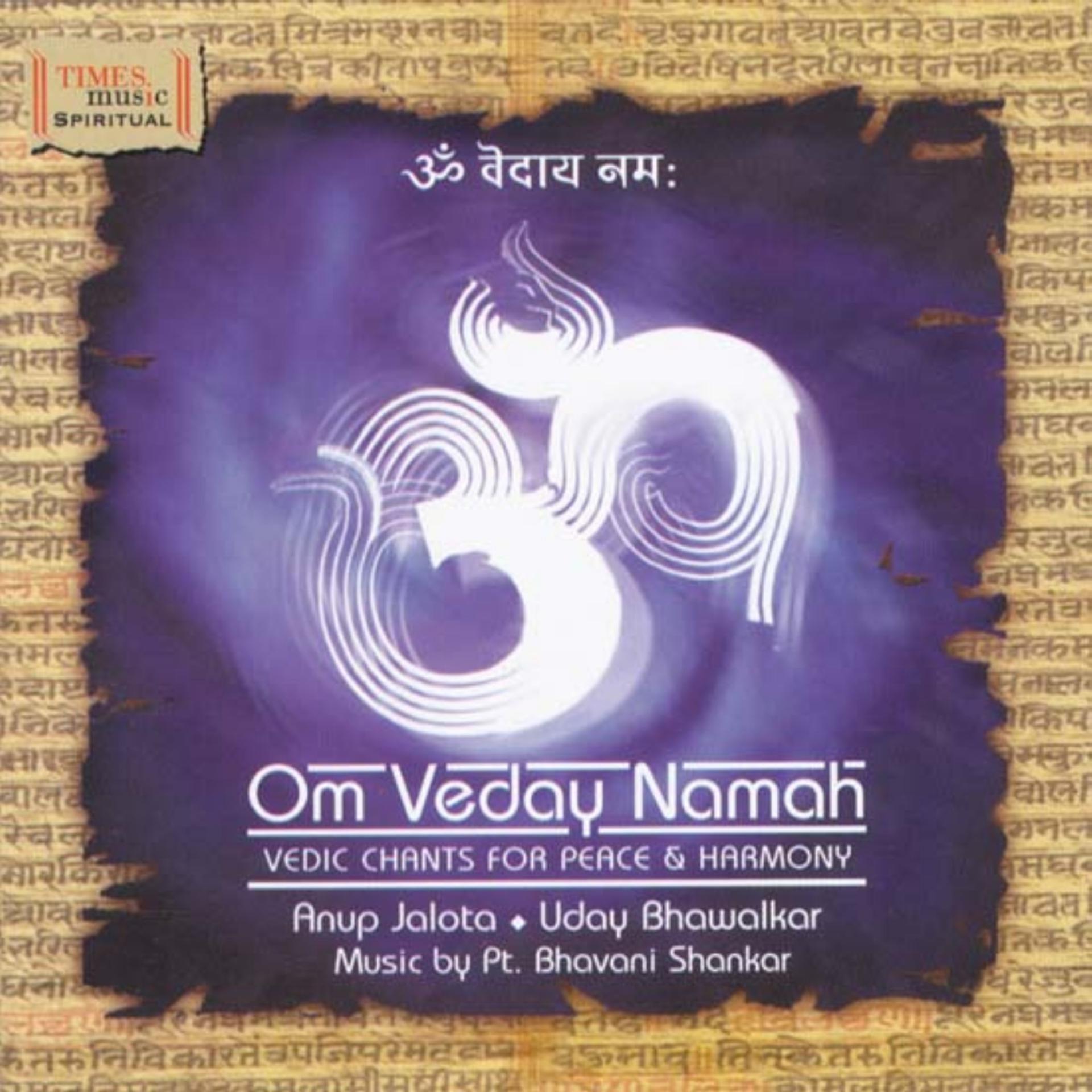 Постер альбома Om Veday Namah