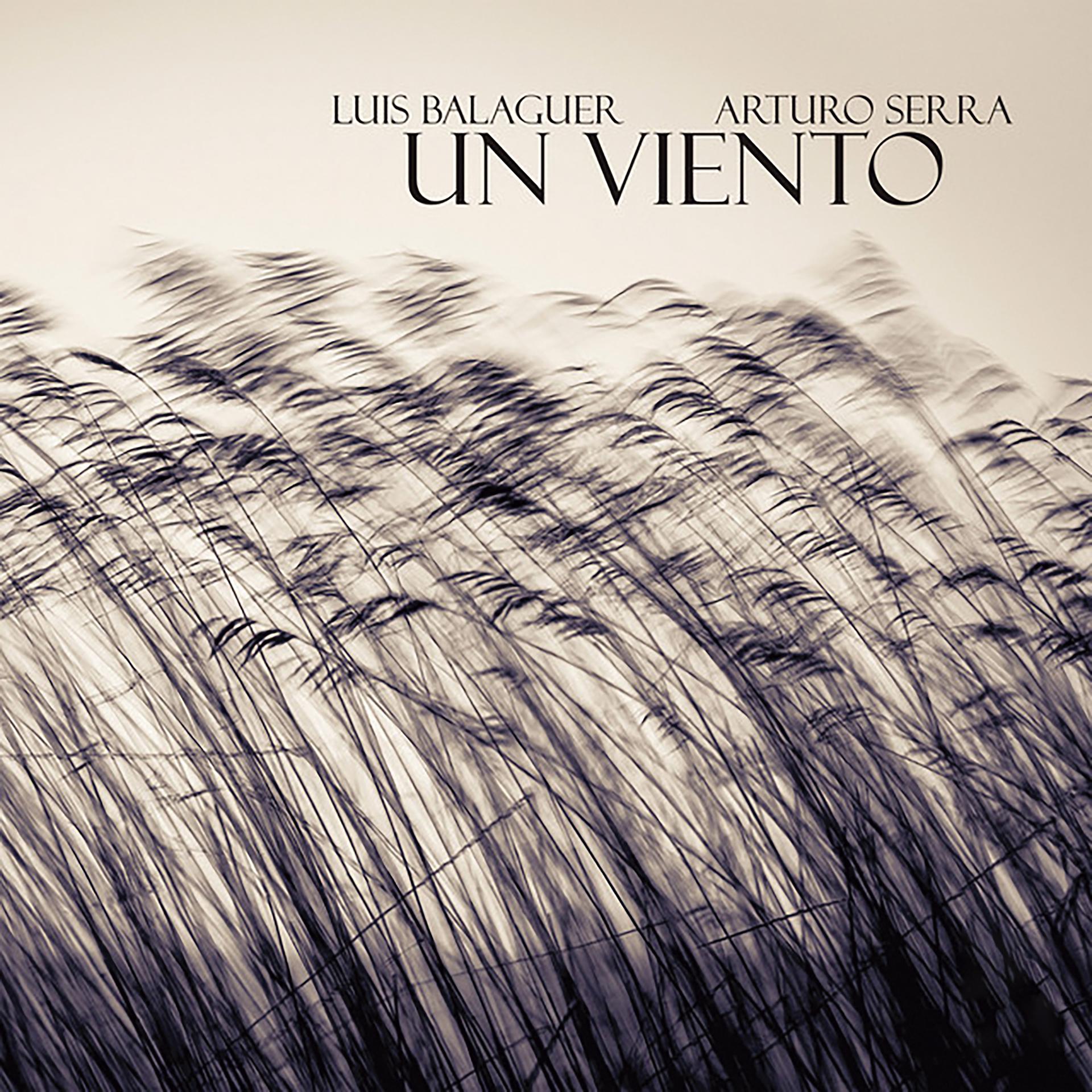 Постер альбома Un Viento
