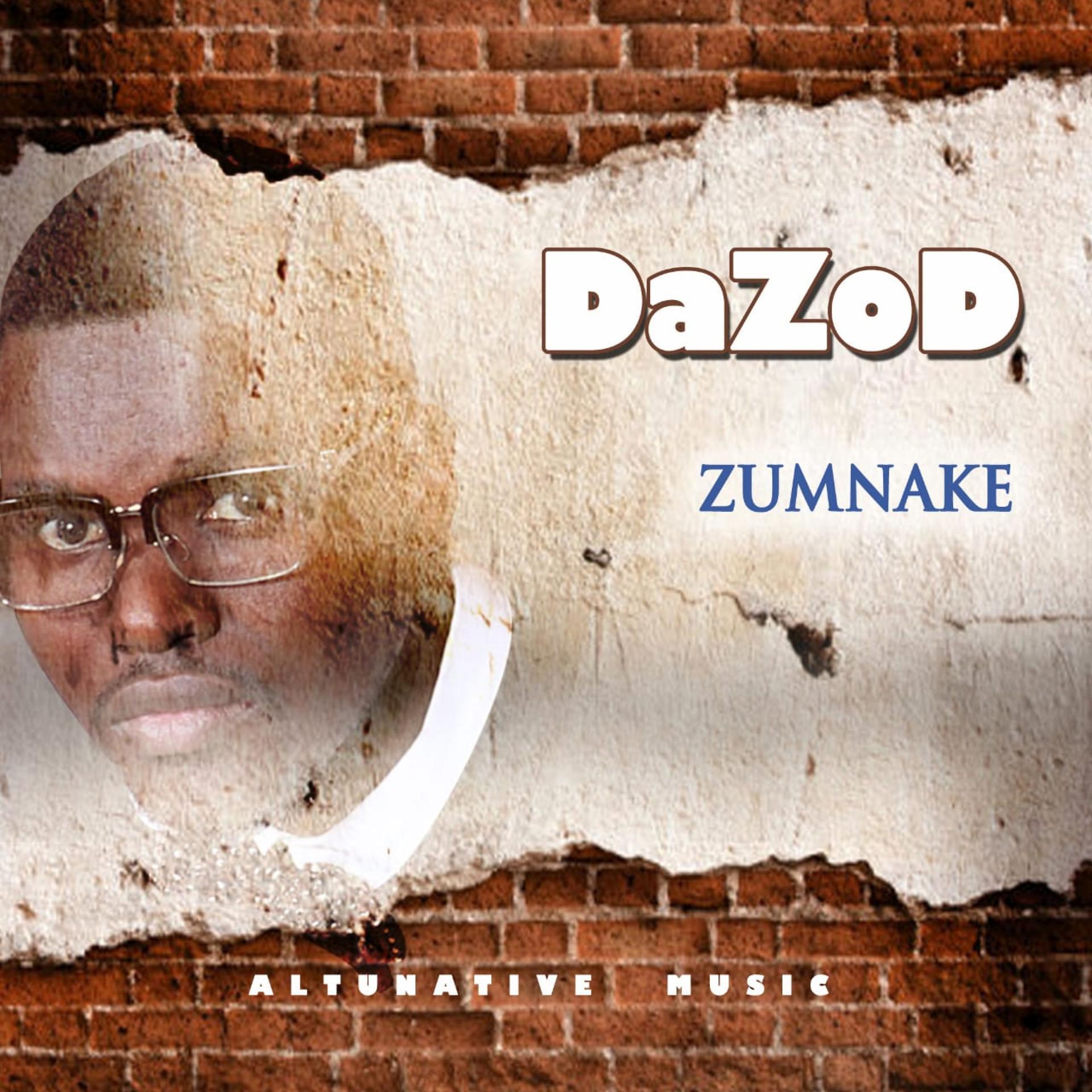 Постер альбома Zumnake
