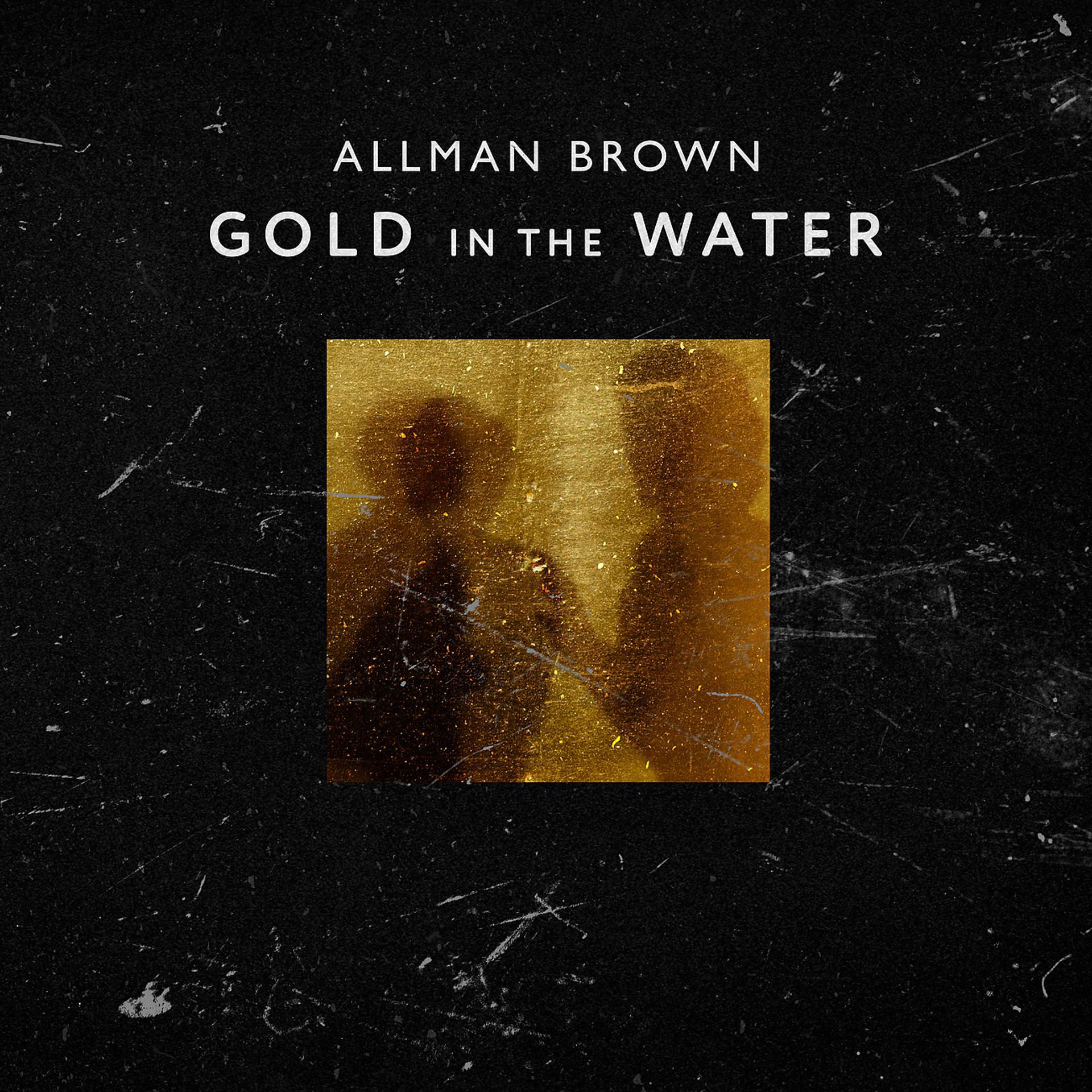 Постер альбома Gold in the Water