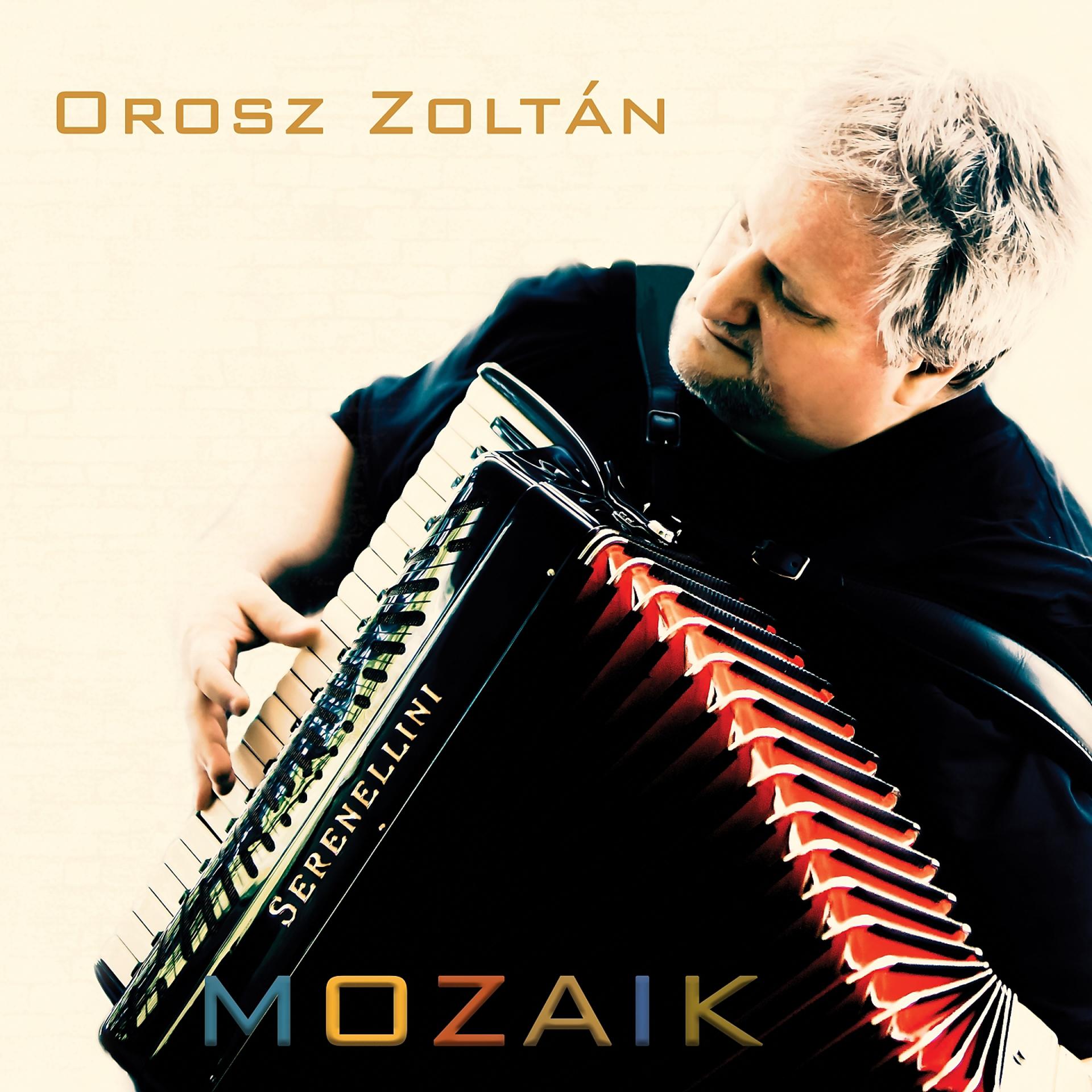 Постер альбома Mozaik