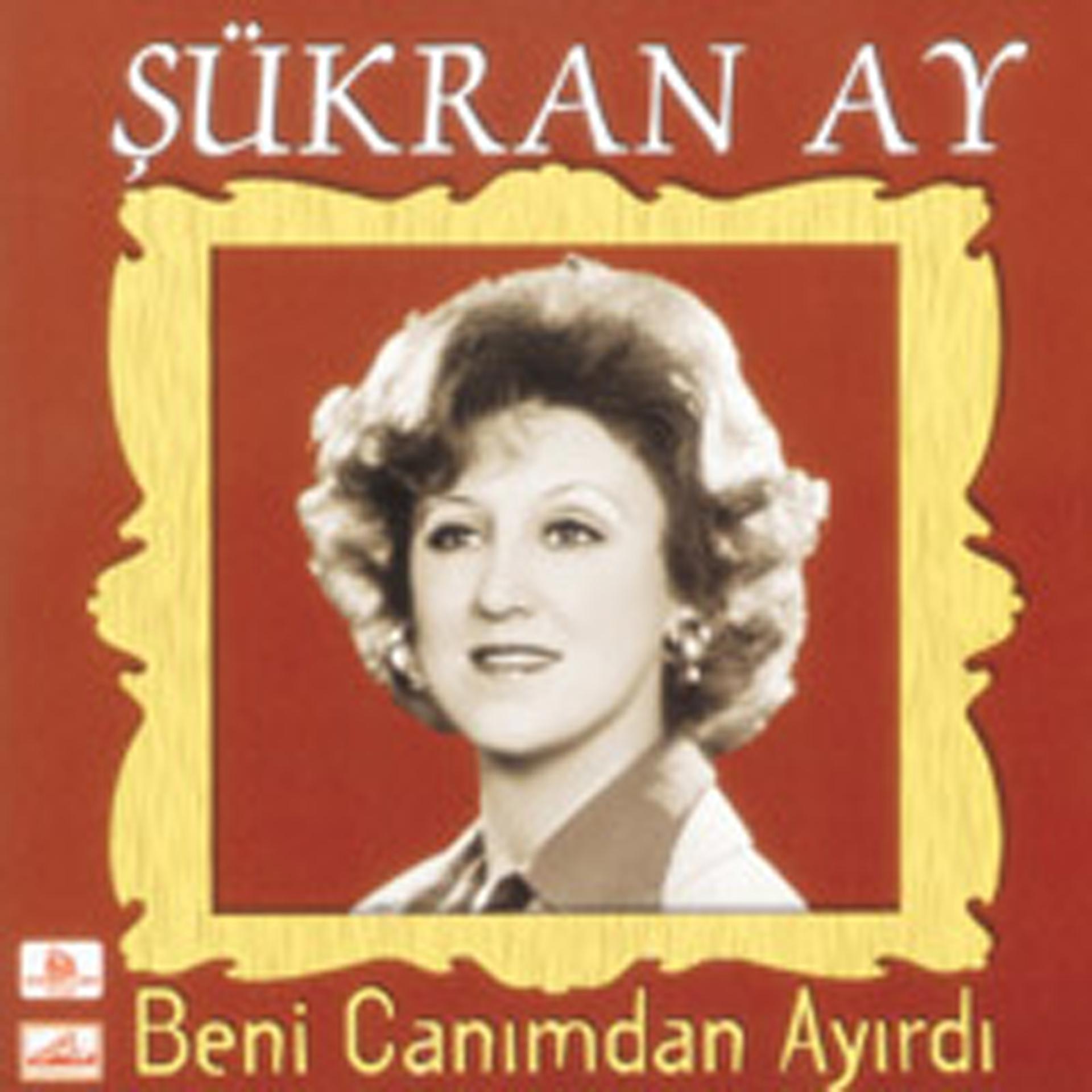 Постер альбома Beni Canimdan Ayirdi