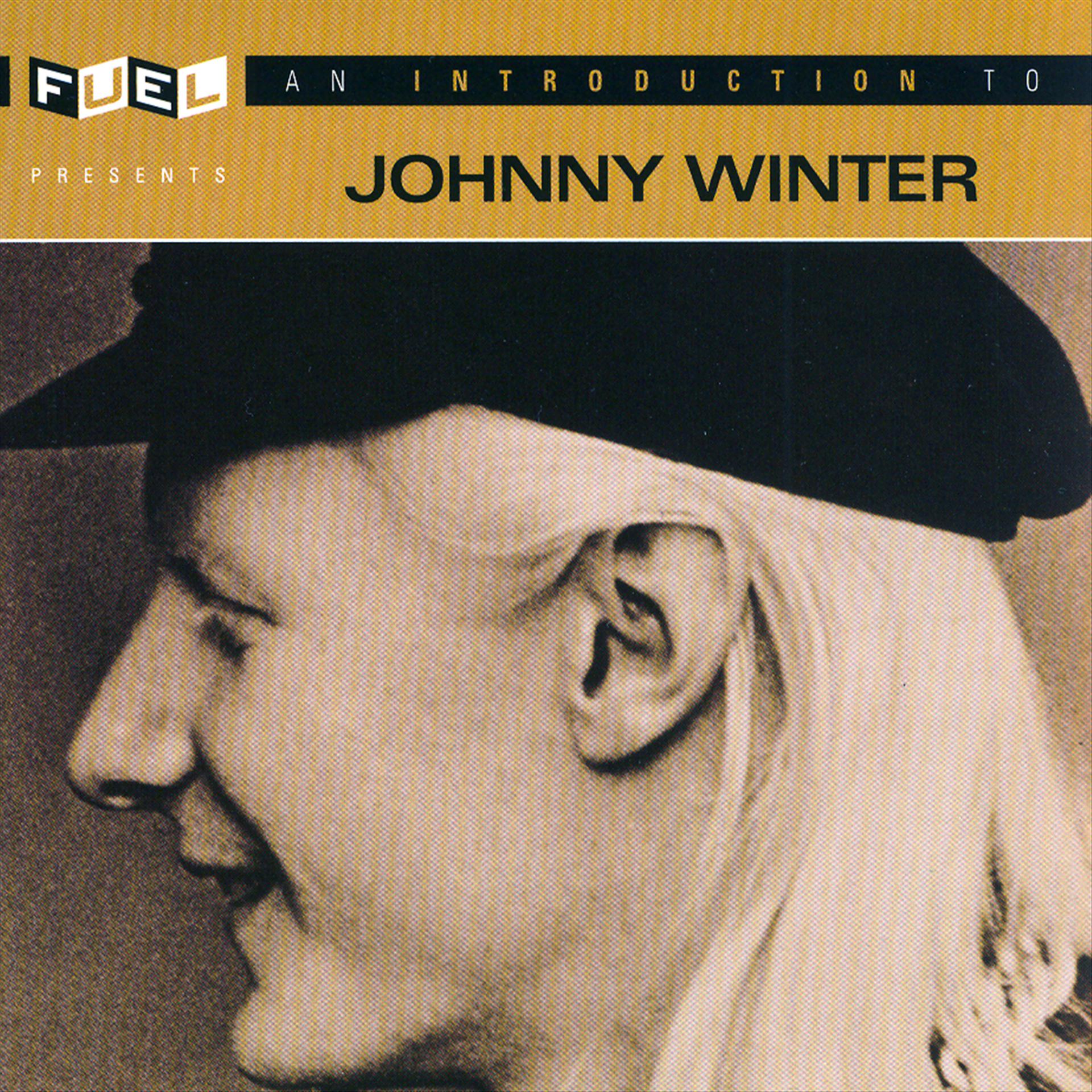 Постер альбома An Introduction To Johnny Winter