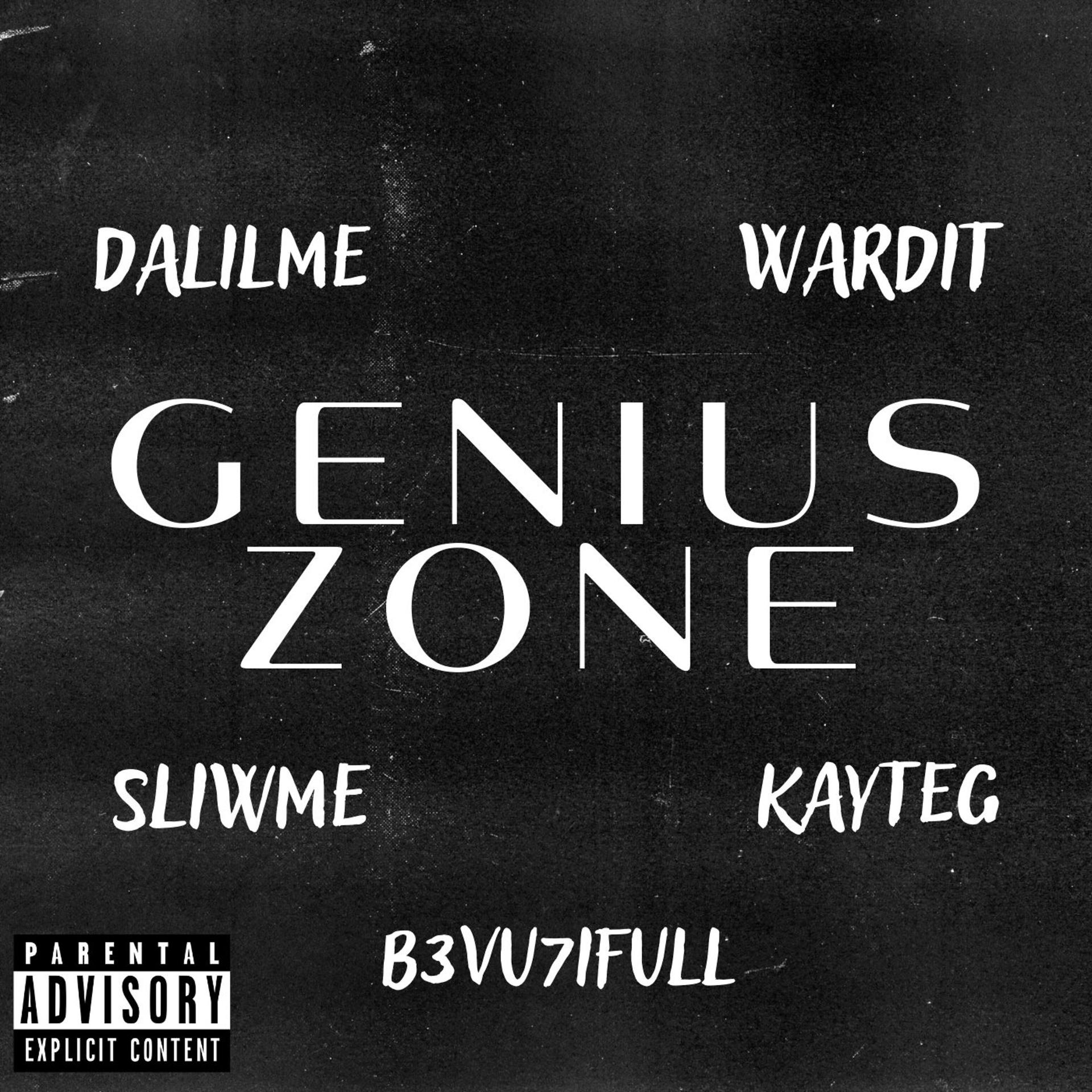Постер альбома Genius Zone