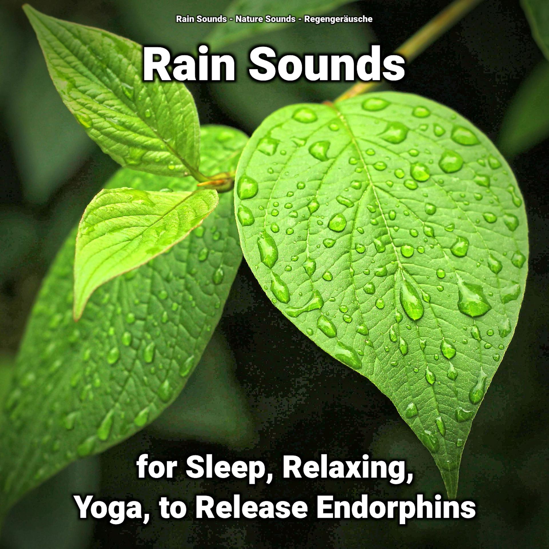 Постер альбома Rain Sounds for Sleep, Relaxing, Yoga, to Release Endorphins
