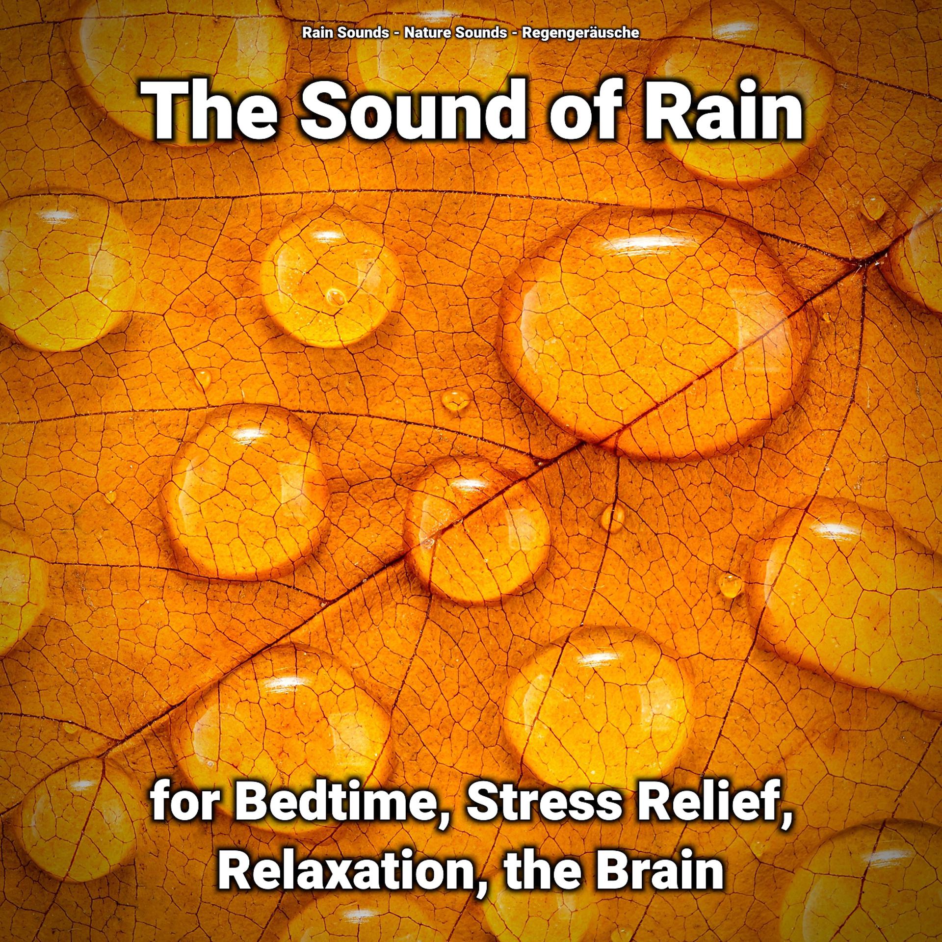 Постер альбома The Sound of Rain for Bedtime, Stress Relief, Relaxation, the Brain