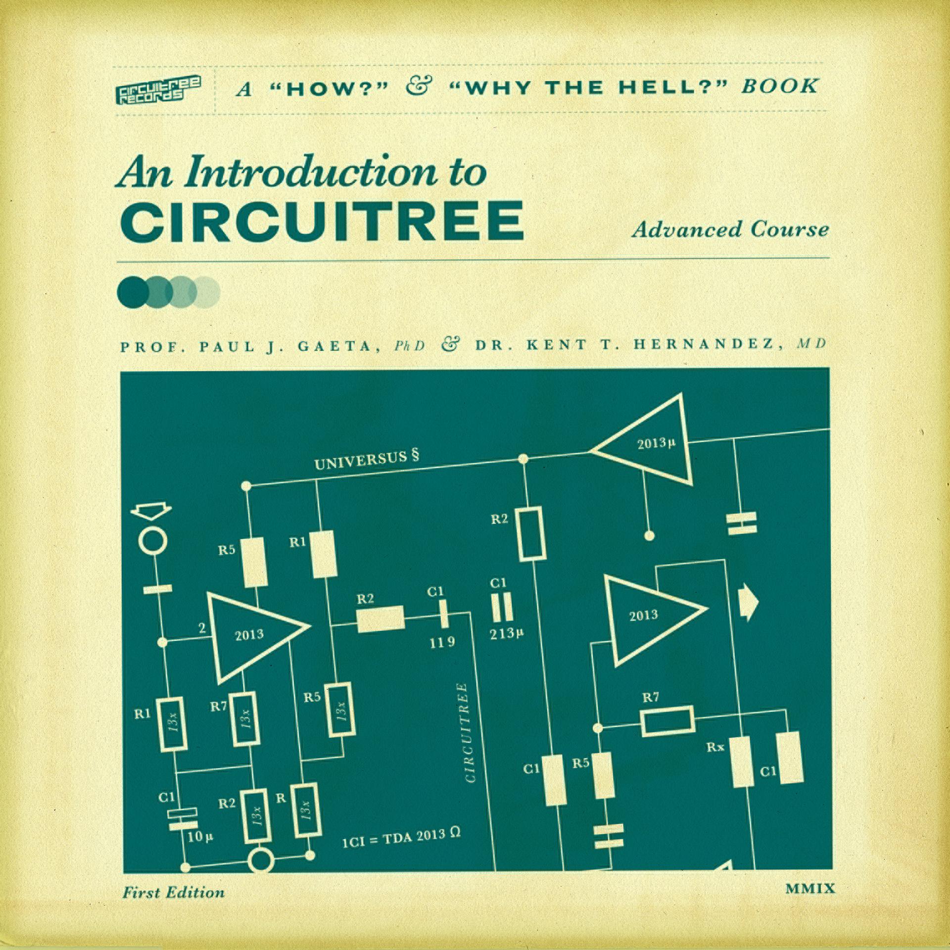 Постер альбома Introduction To Circuitree