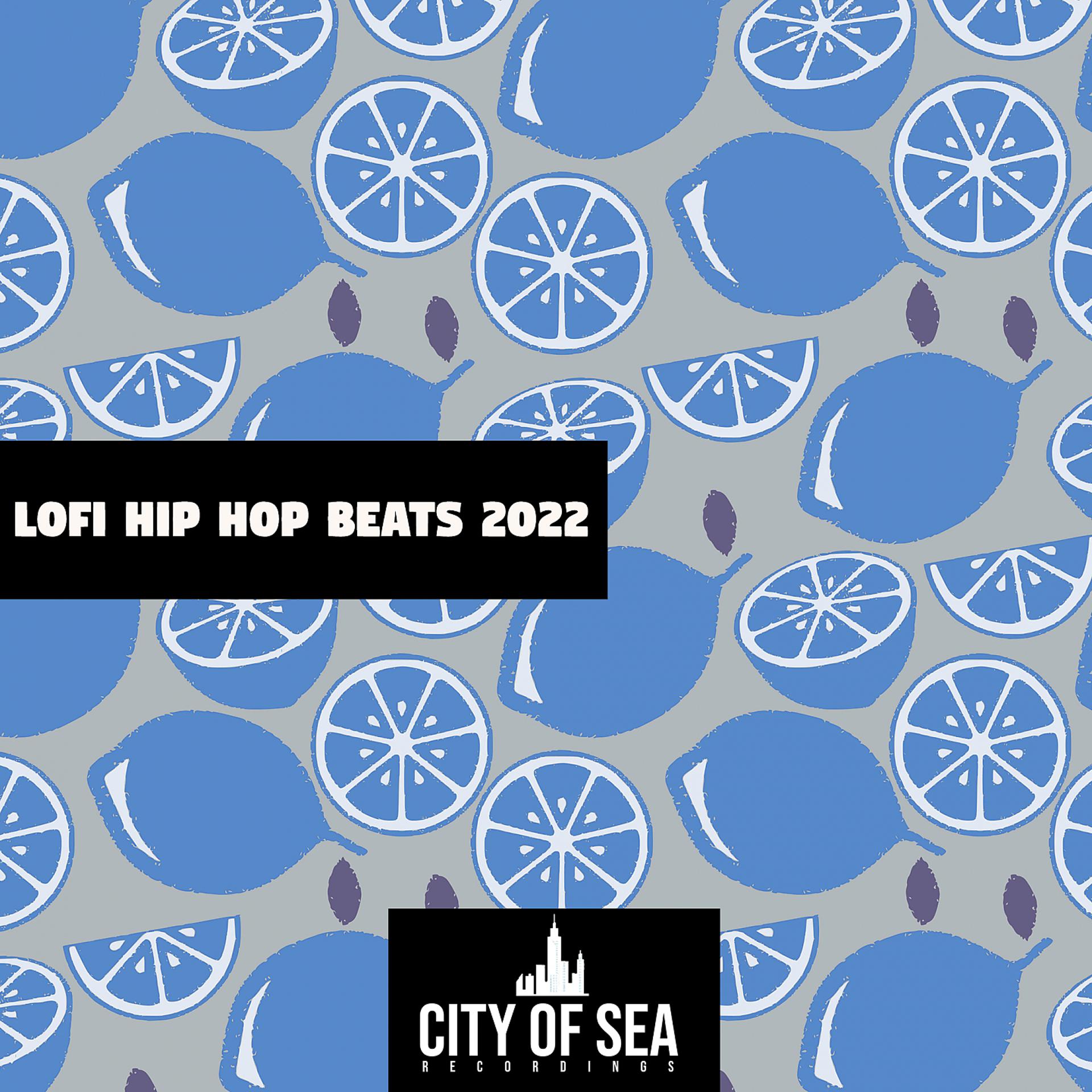 Постер альбома Lofi Hip Hop Beats 2022