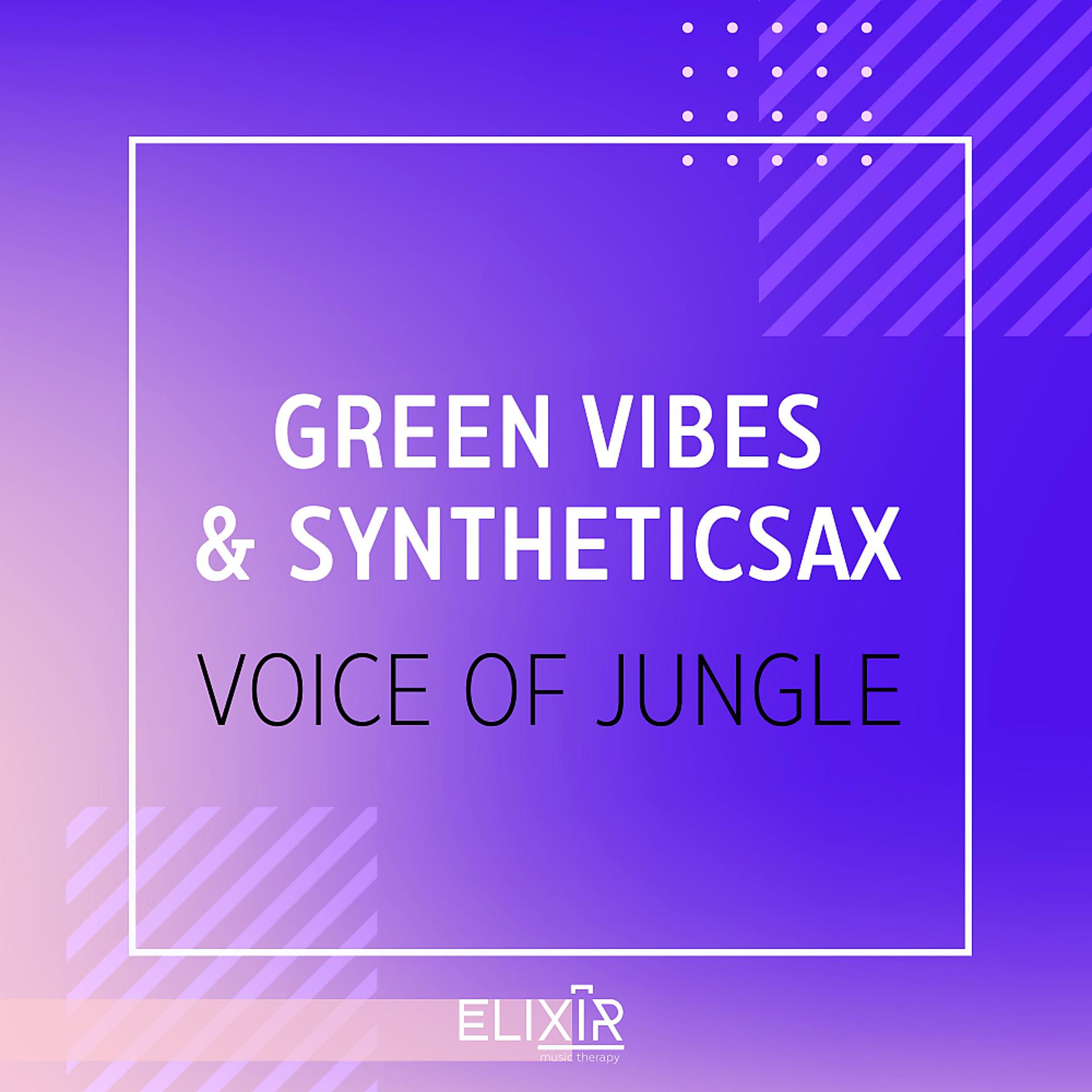 Постер альбома Voice Of Jungle