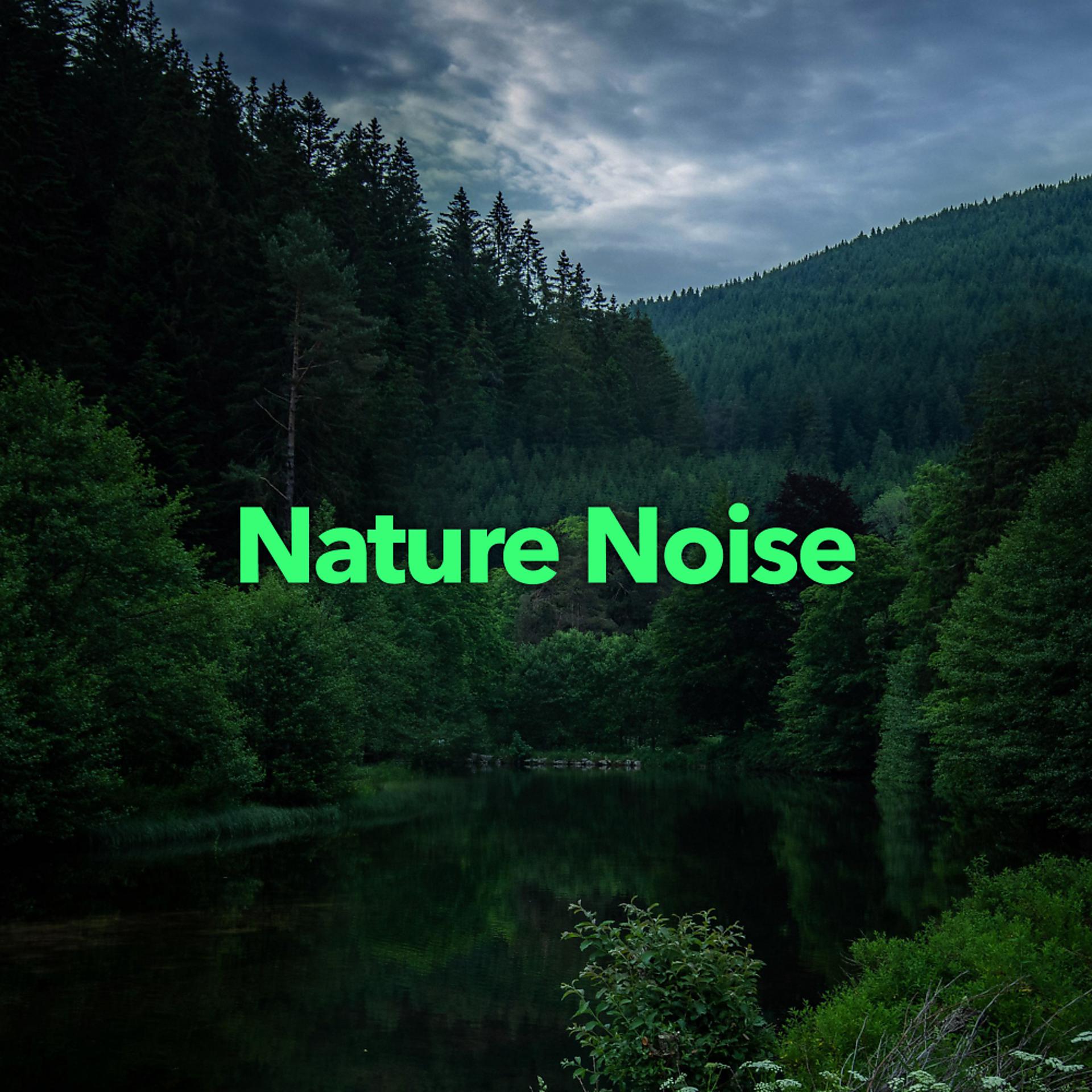 Постер альбома Nature Noise