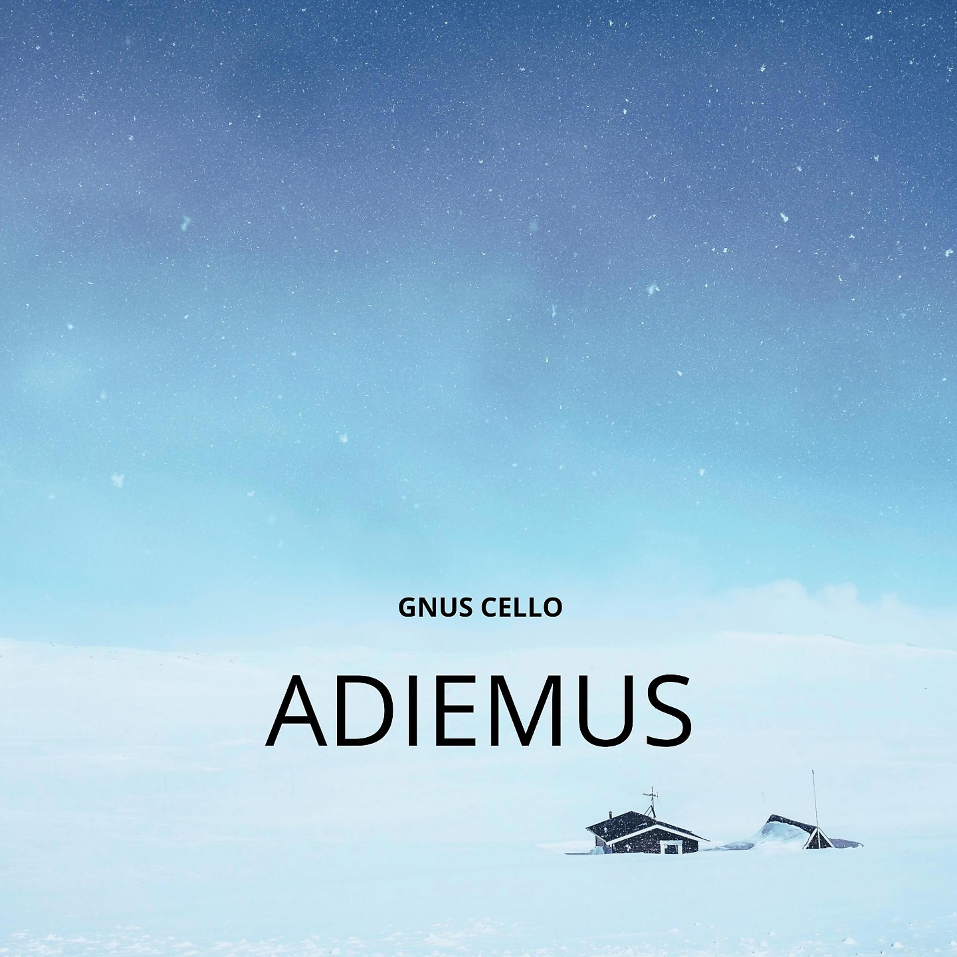 Постер альбома Adiemus