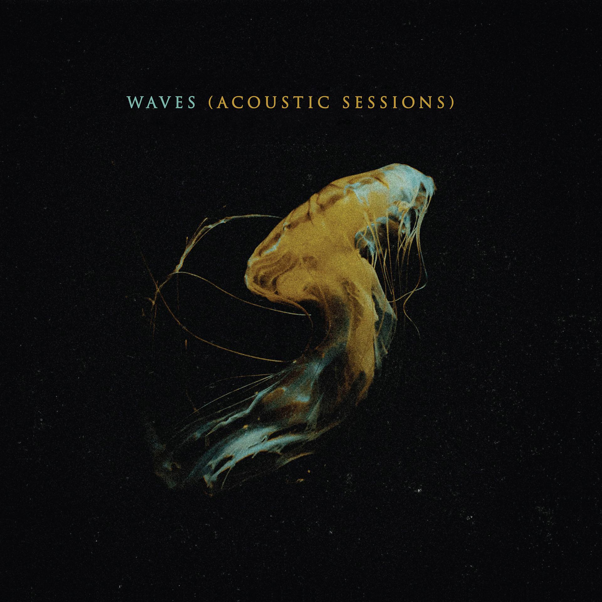 Постер альбома Waves (Acoustic Sessions)