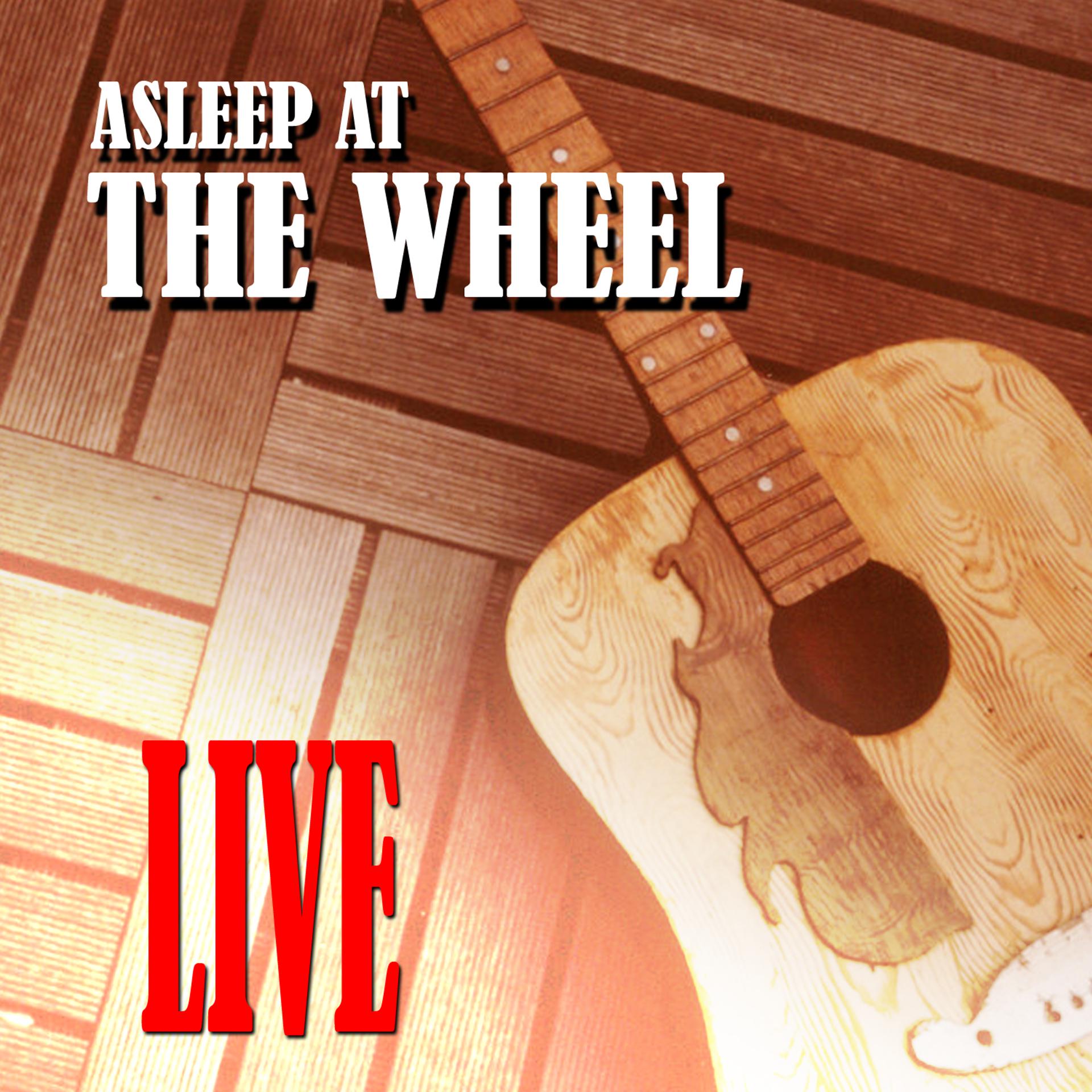 Постер альбома Asleep At The Wheel - Live
