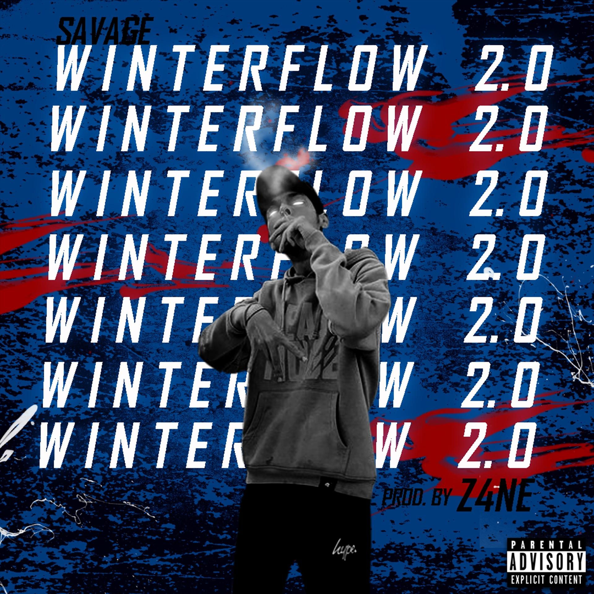 Постер альбома Winterflow 2.0