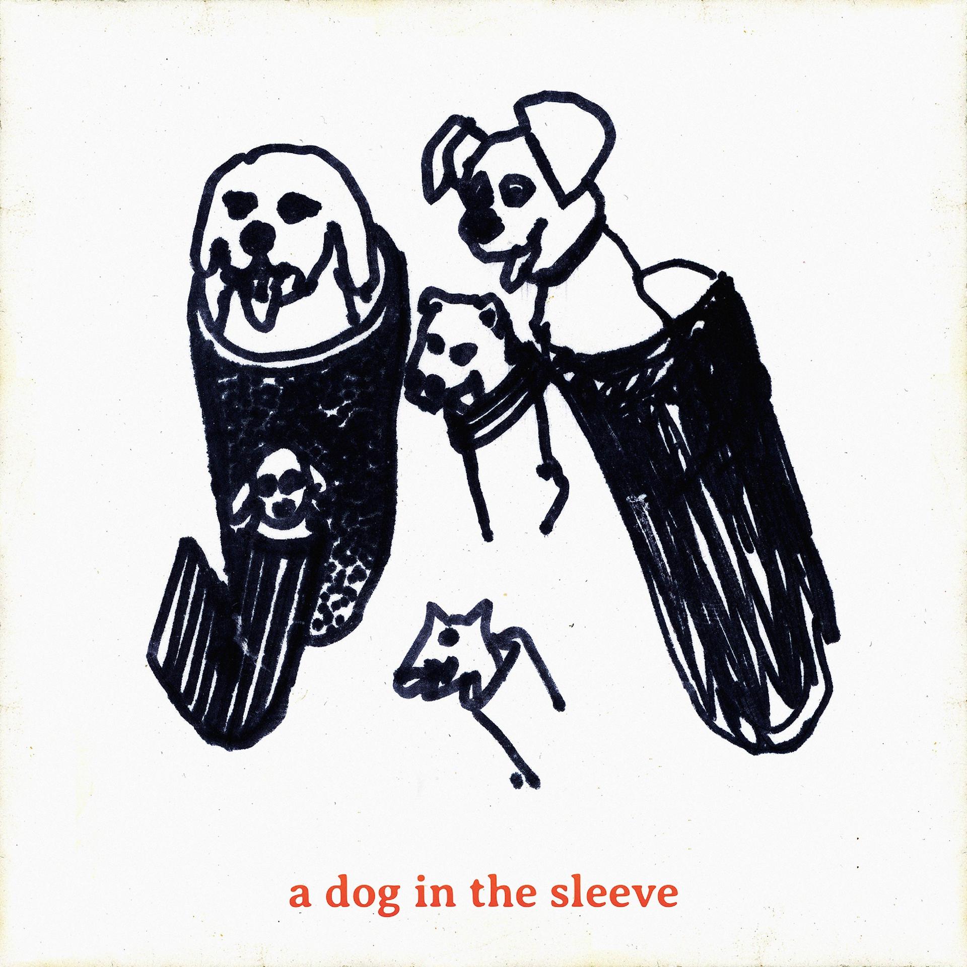 Постер альбома A Dog in the Sleeve