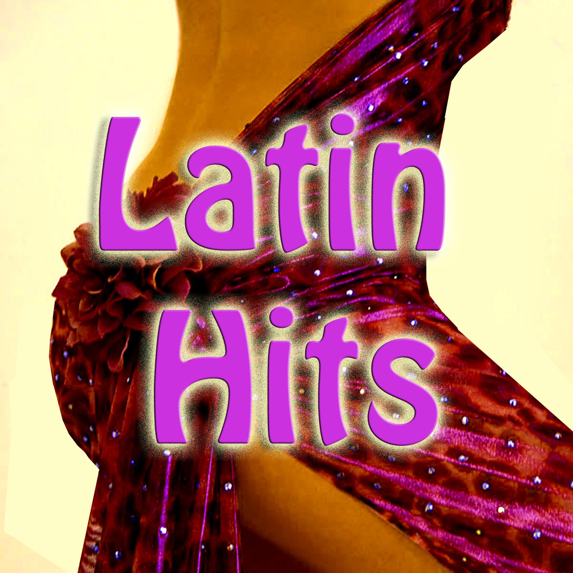 Постер альбома Latin Hits