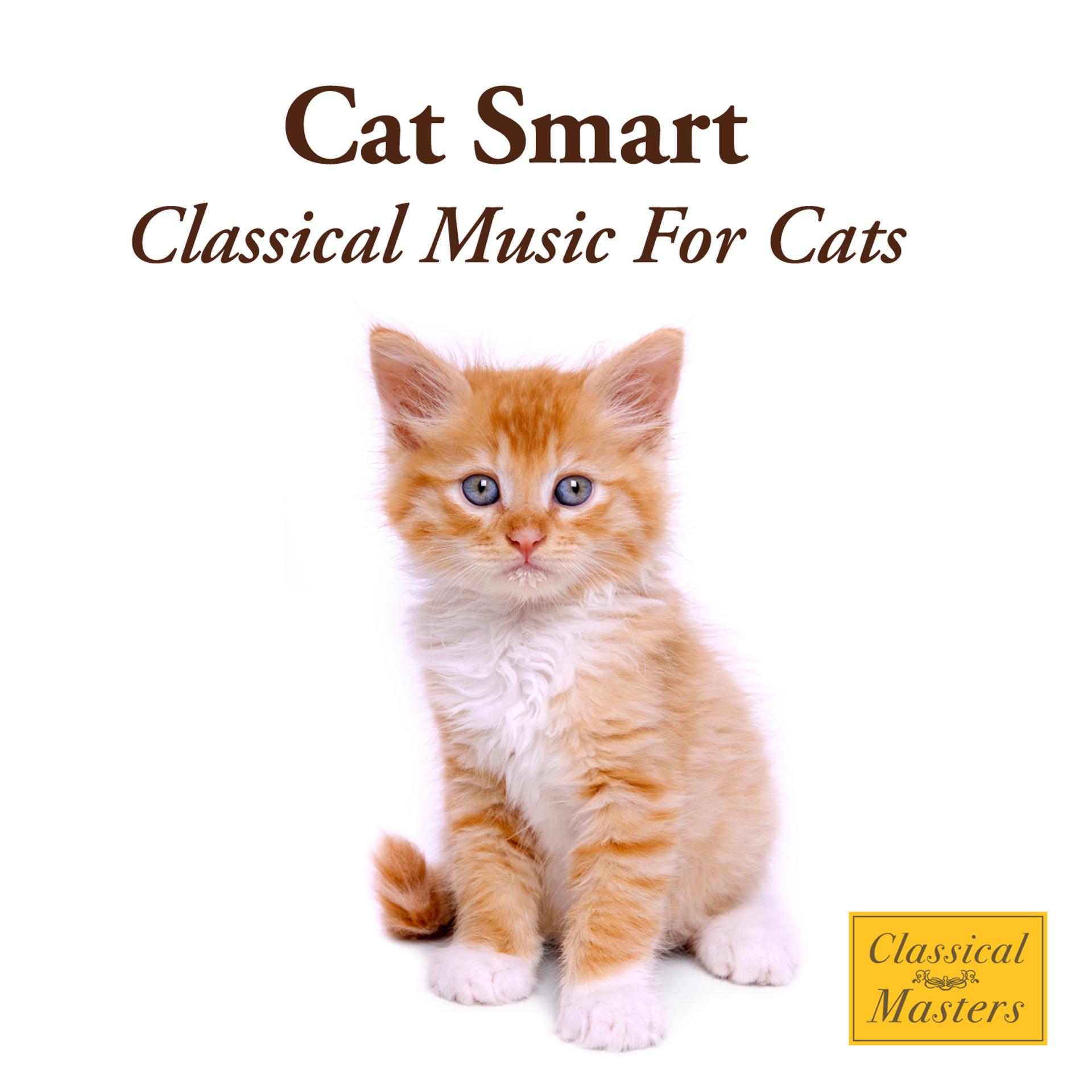 Постер альбома Cat Smart - Classical Music For Cats