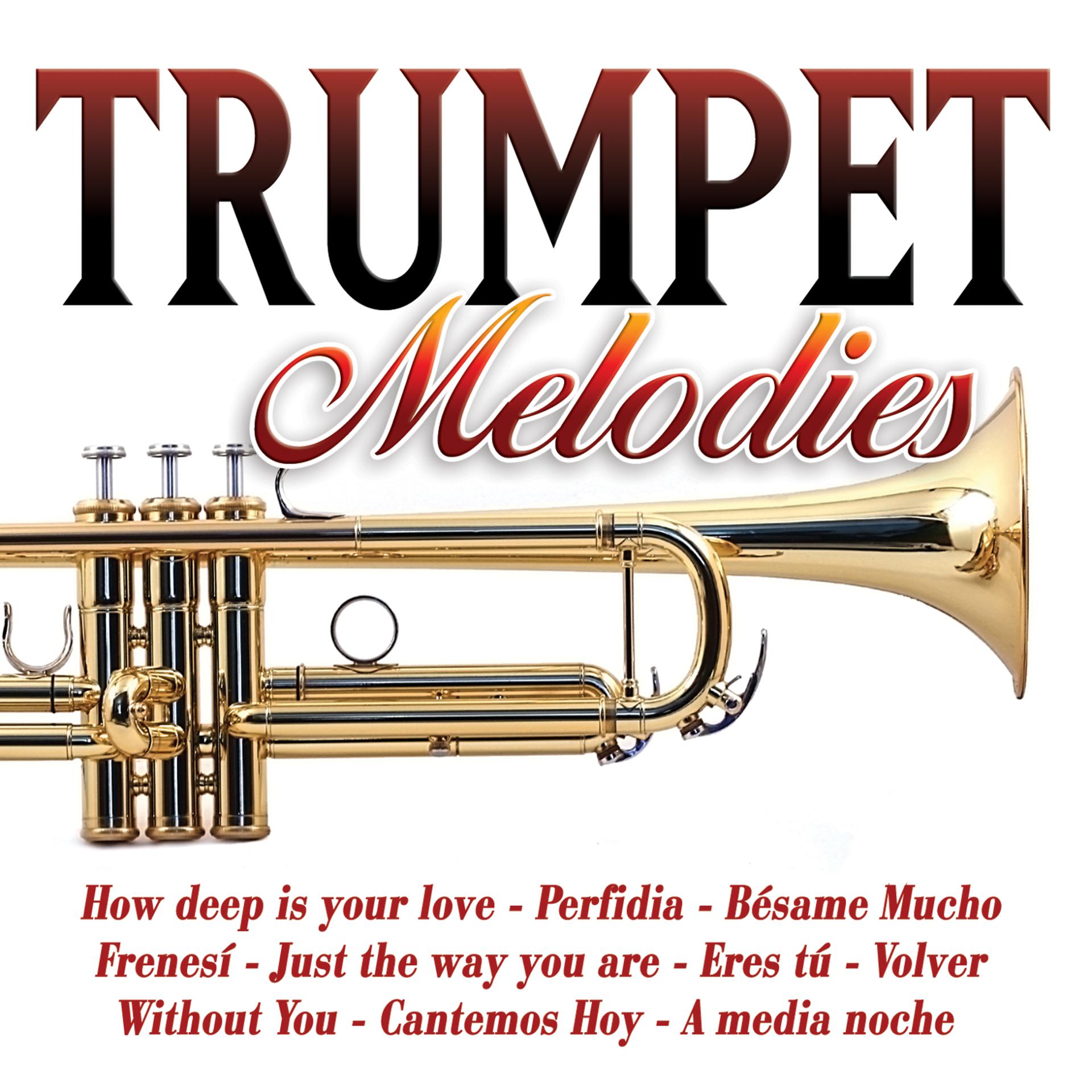 Постер альбома Trumpet Melodies