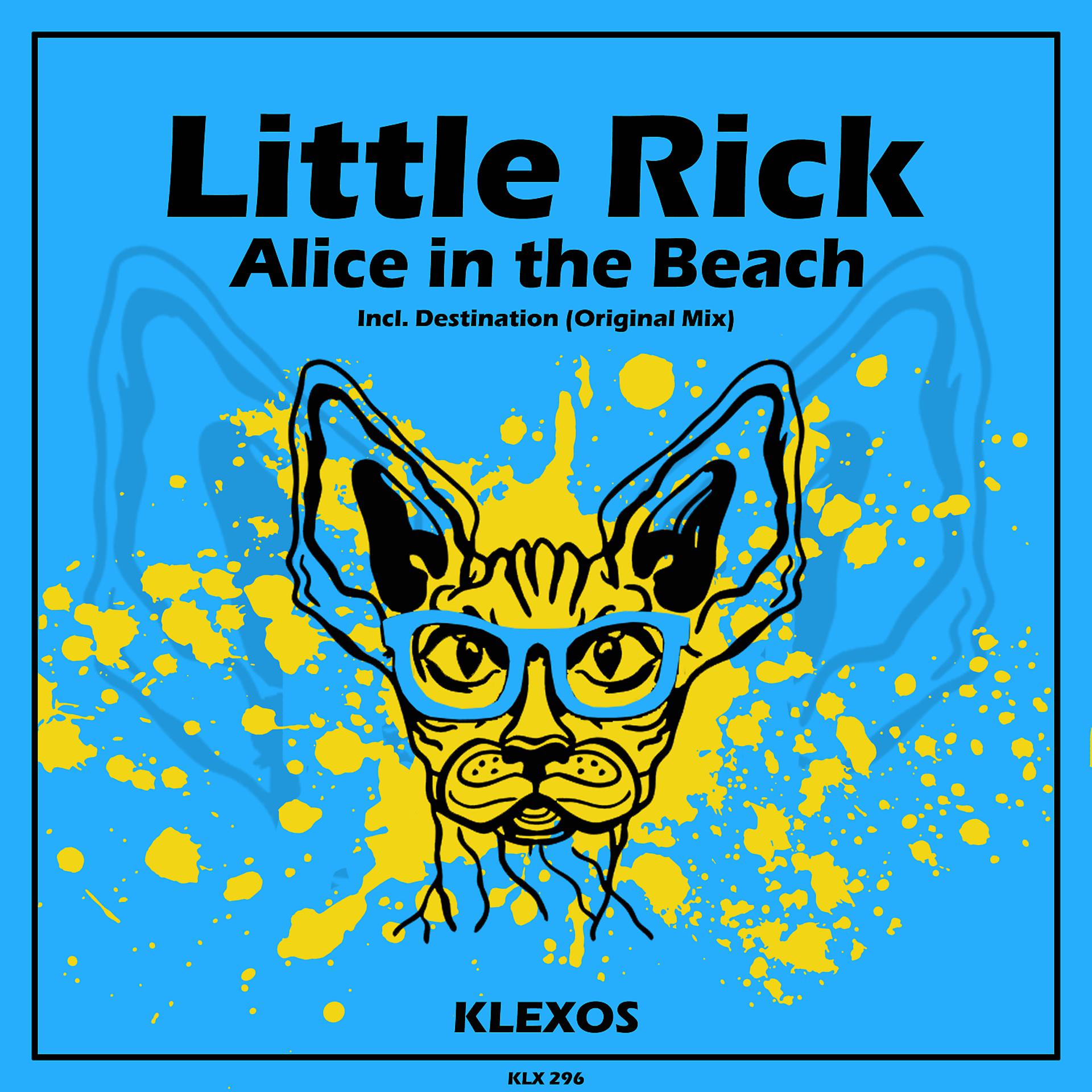 Постер альбома Alice in the Beach