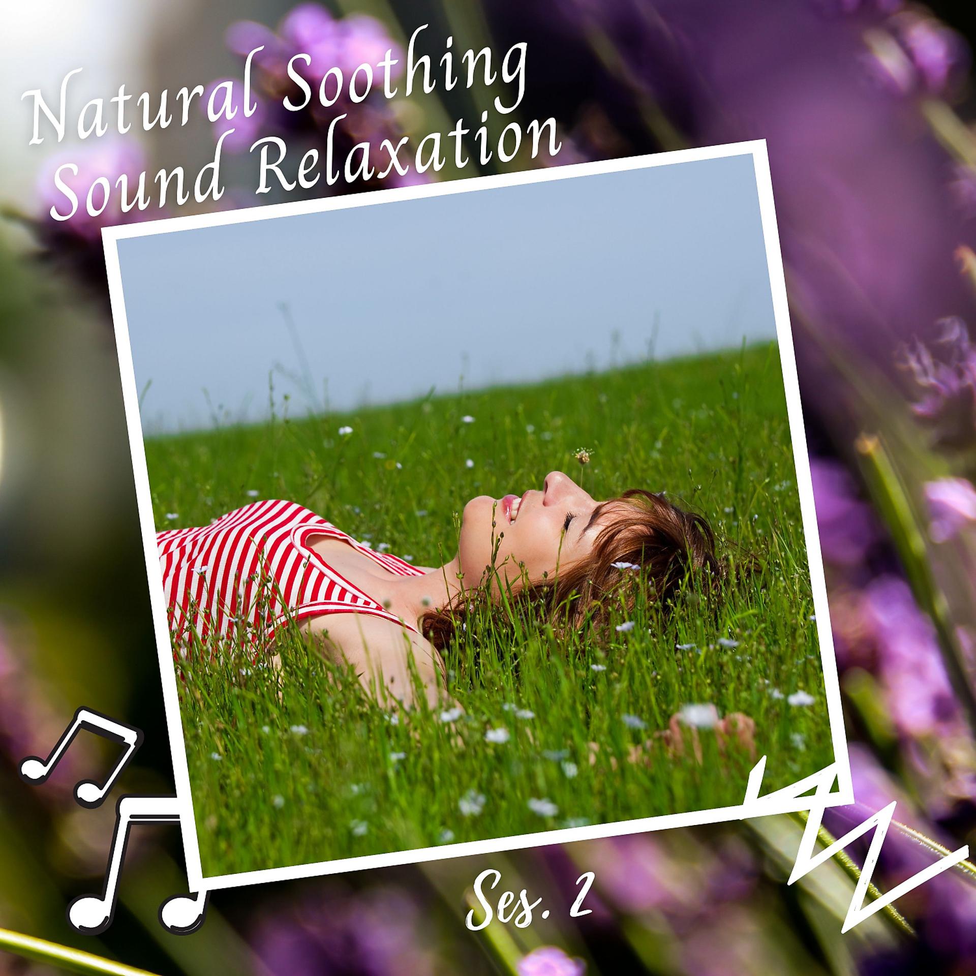 Постер альбома Natural Soothing Sound Relaxation Ses. 2