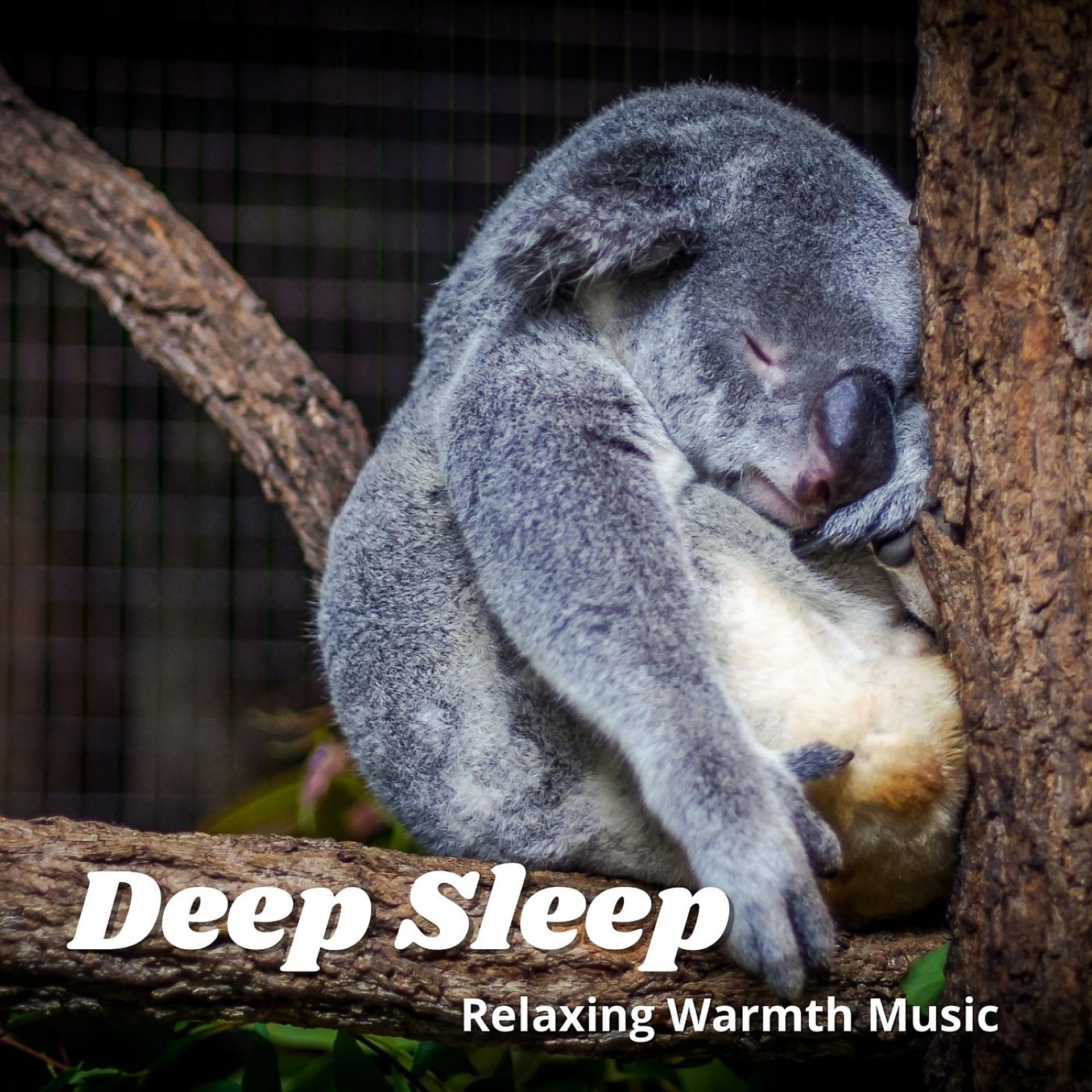 Постер альбома Deep Sleep: Relaxing Warmth Music