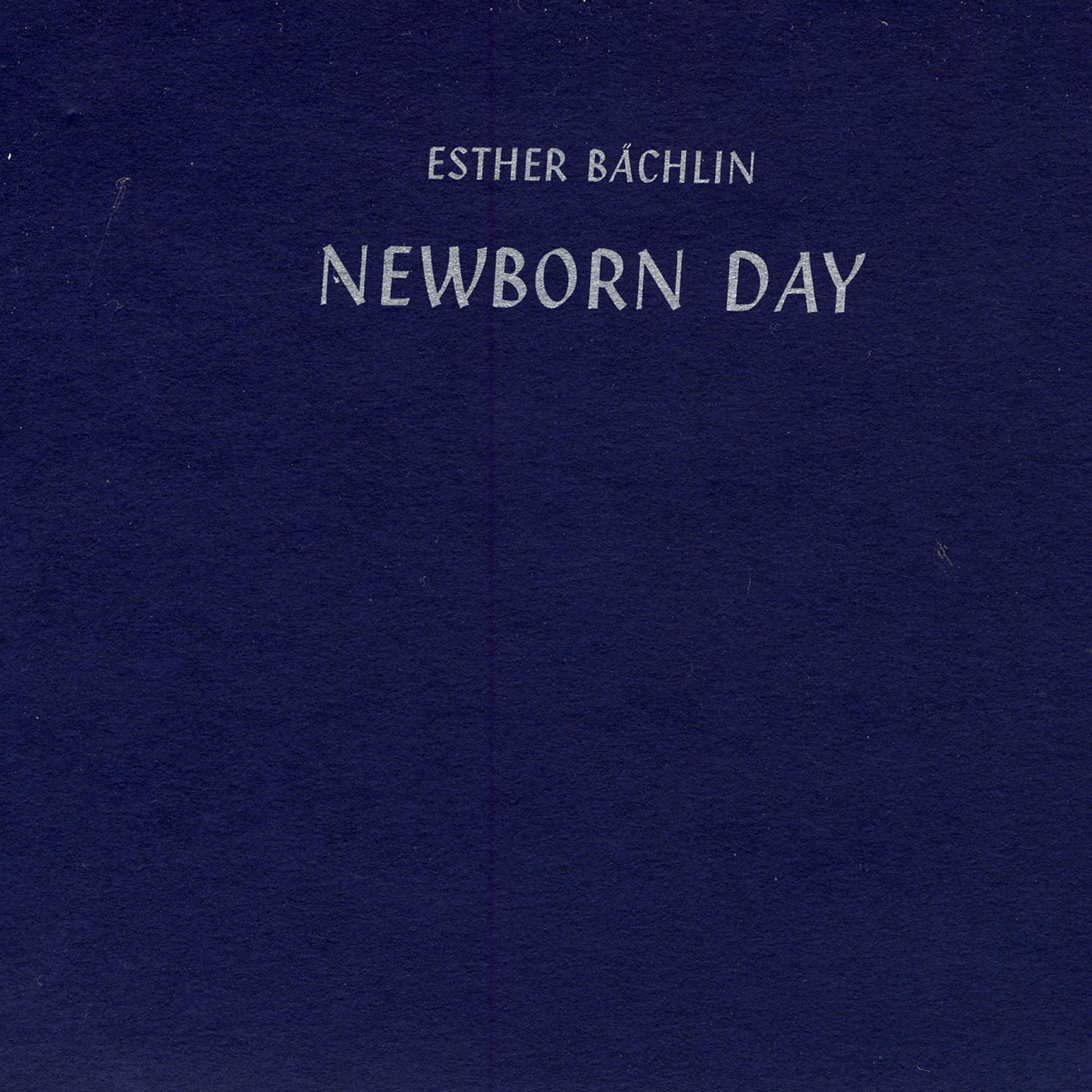 Постер альбома Newborn Day