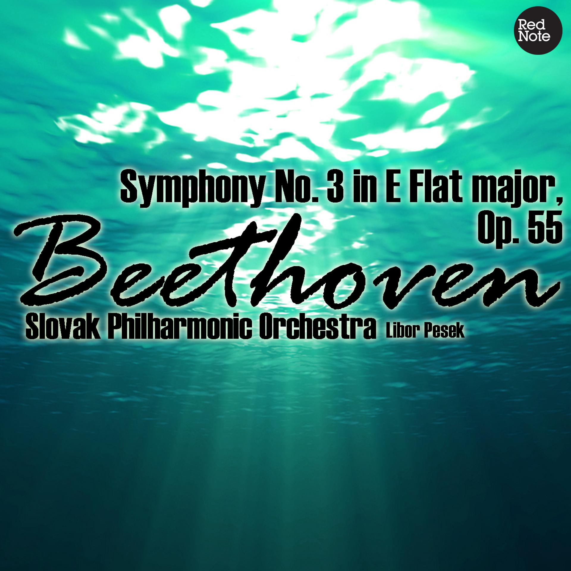 Постер альбома Beethoven: Symphony No. 3 in E Flat major, Op. 55